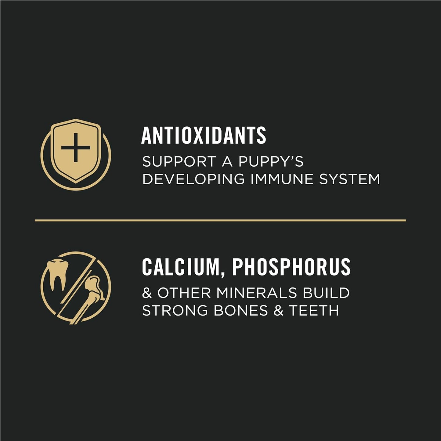 High Protein Dry Puppy Food, Chicken and Rice Formula - 18 Lb. Bag