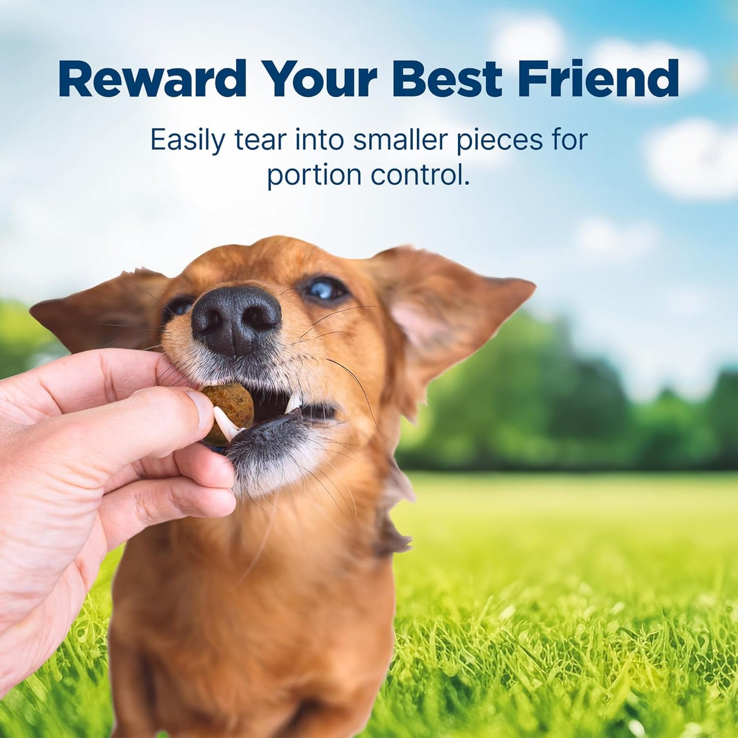 Nudges Homestyle Natural Beef and Rice Dog Treats