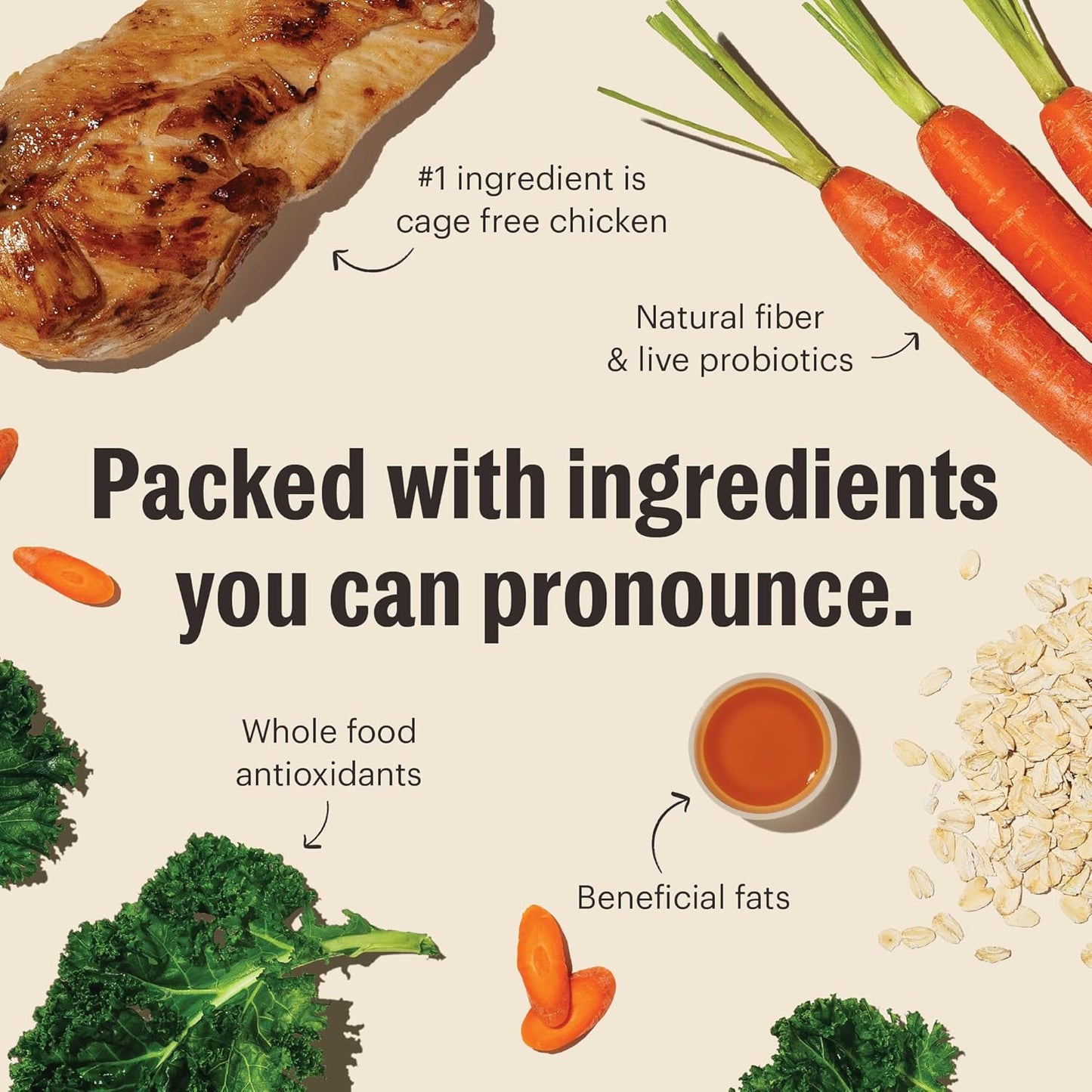 Whole Food Clusters Whole Grain Chicken & Oat Dry Dog Food, 5 Lb Bag