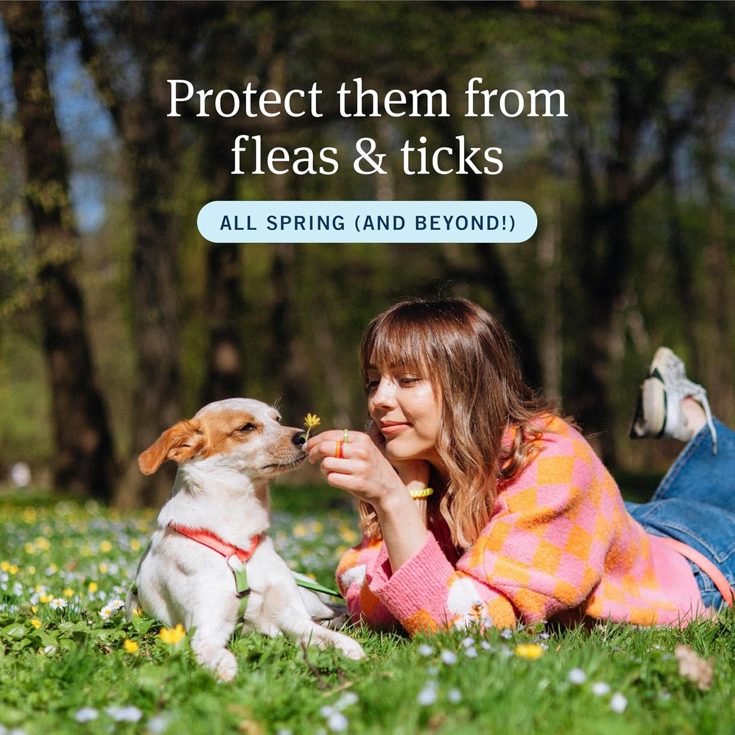 plus Flea and Tick Prevention for Dogs, Dog Flea and Tick Treatment, 3 Doses, Waterproof Topical, Fast Acting, Large Dogs (45-88 Lbs)