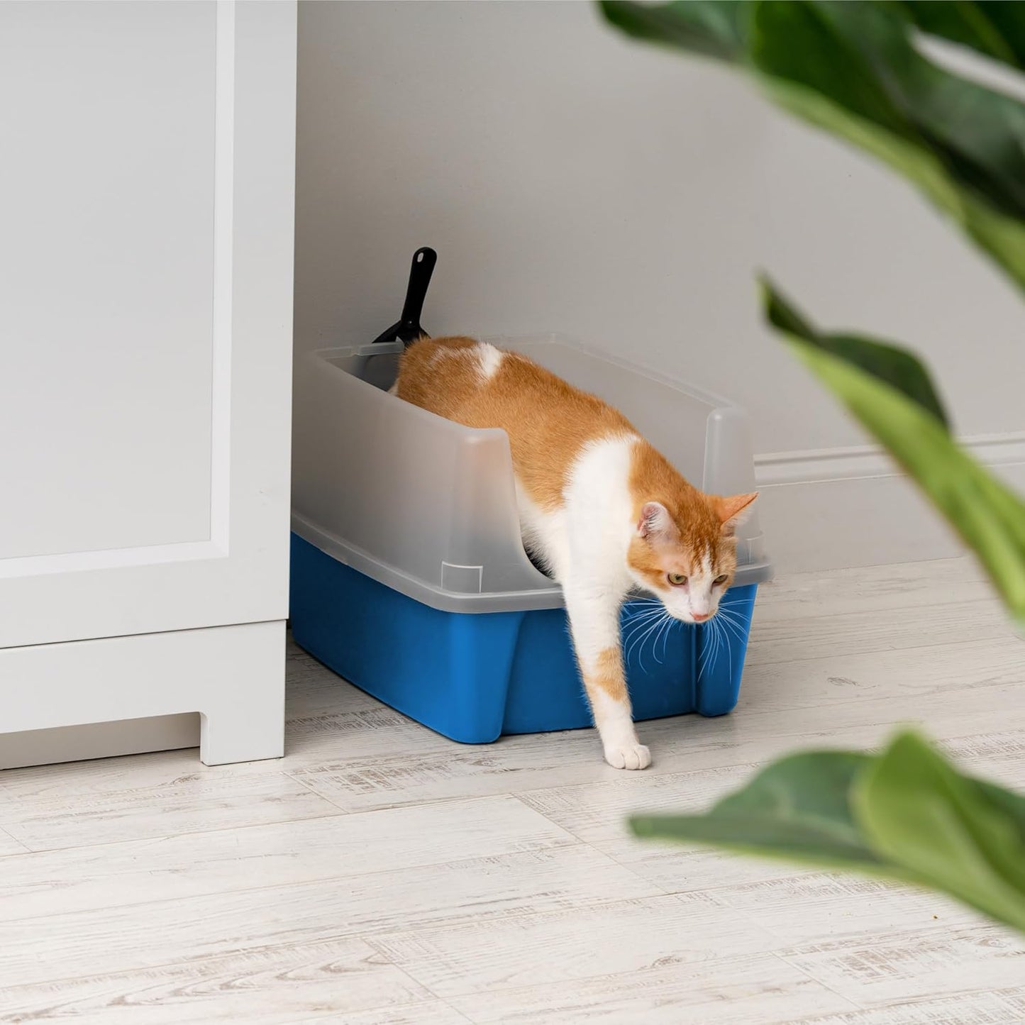 USA Large Cat Litter Box with Scatter Shield and Scoop, Open Top High Sided Cat Litter Pan, Blue