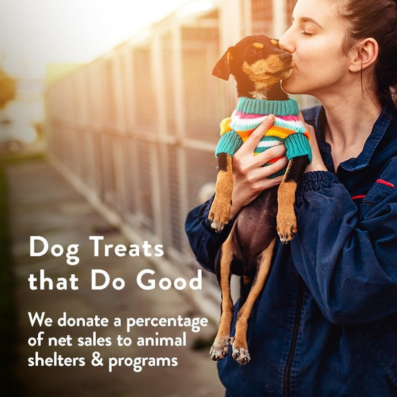 Natural Dog Treats Variety Pumpkin Gingerbread & Bacon Dog Biscuits - Grain-Free, Human-Grade Healthy Training & Snacks - Puppy, Small, Large Breed - Made in the USA - 3 Pack