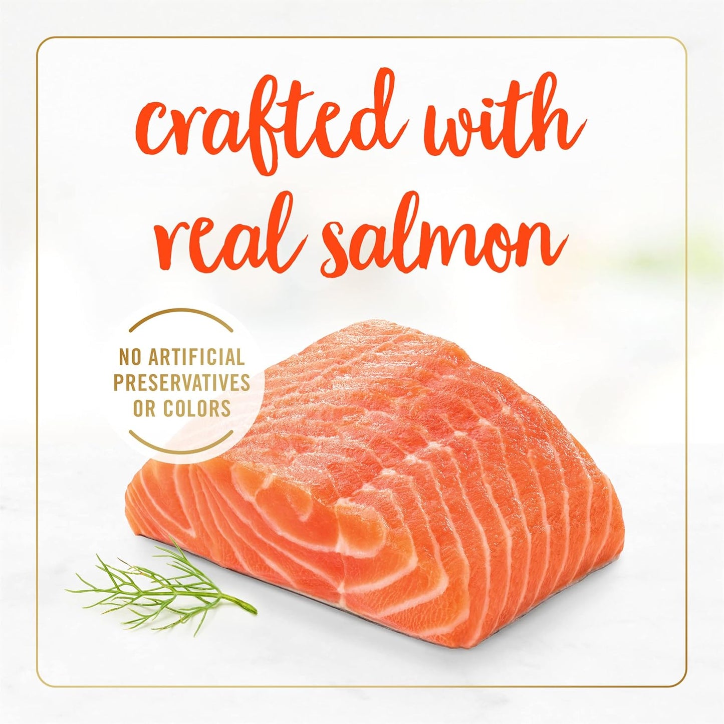Purina Salmon Feast Classic Grain Free Wet Cat Food Pate - (Pack of 24) 3 Oz. Cans