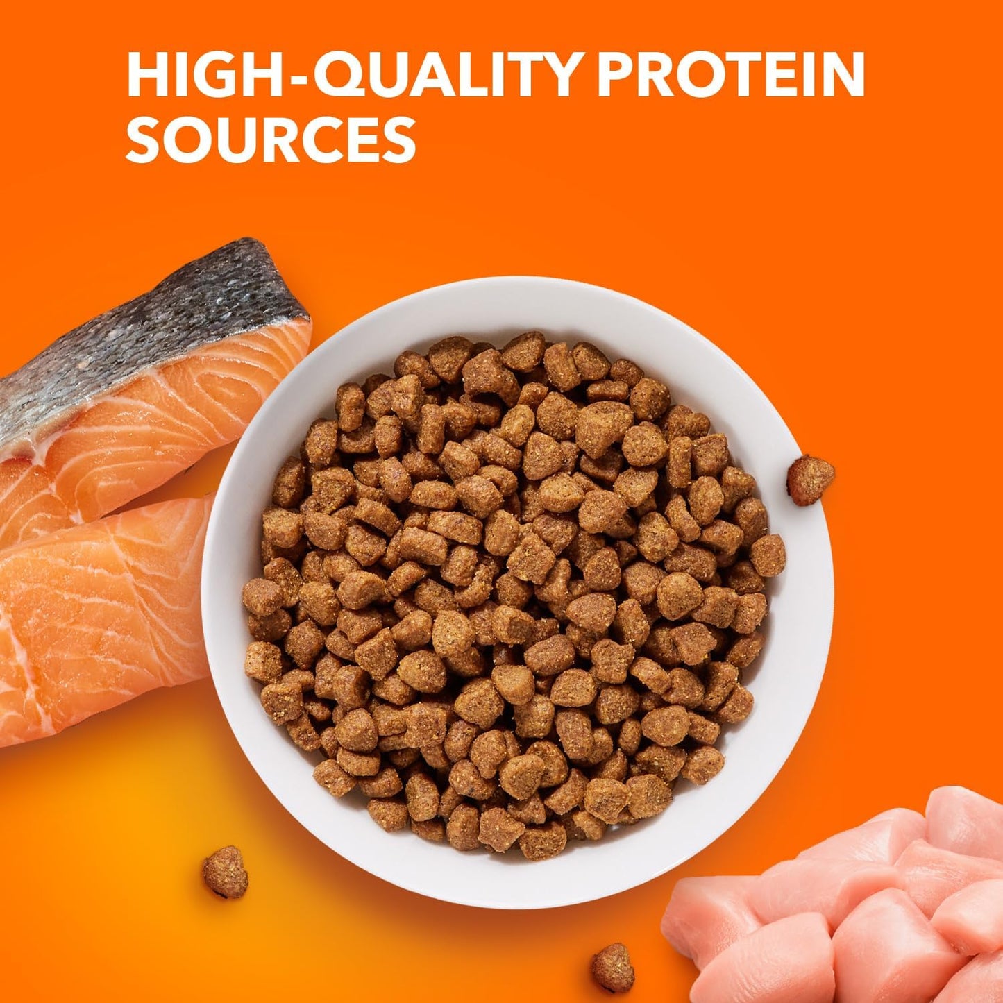 Proactive Health Adult Healthy Dry Cat Food with Real Salmon, 16 Lb. Bag