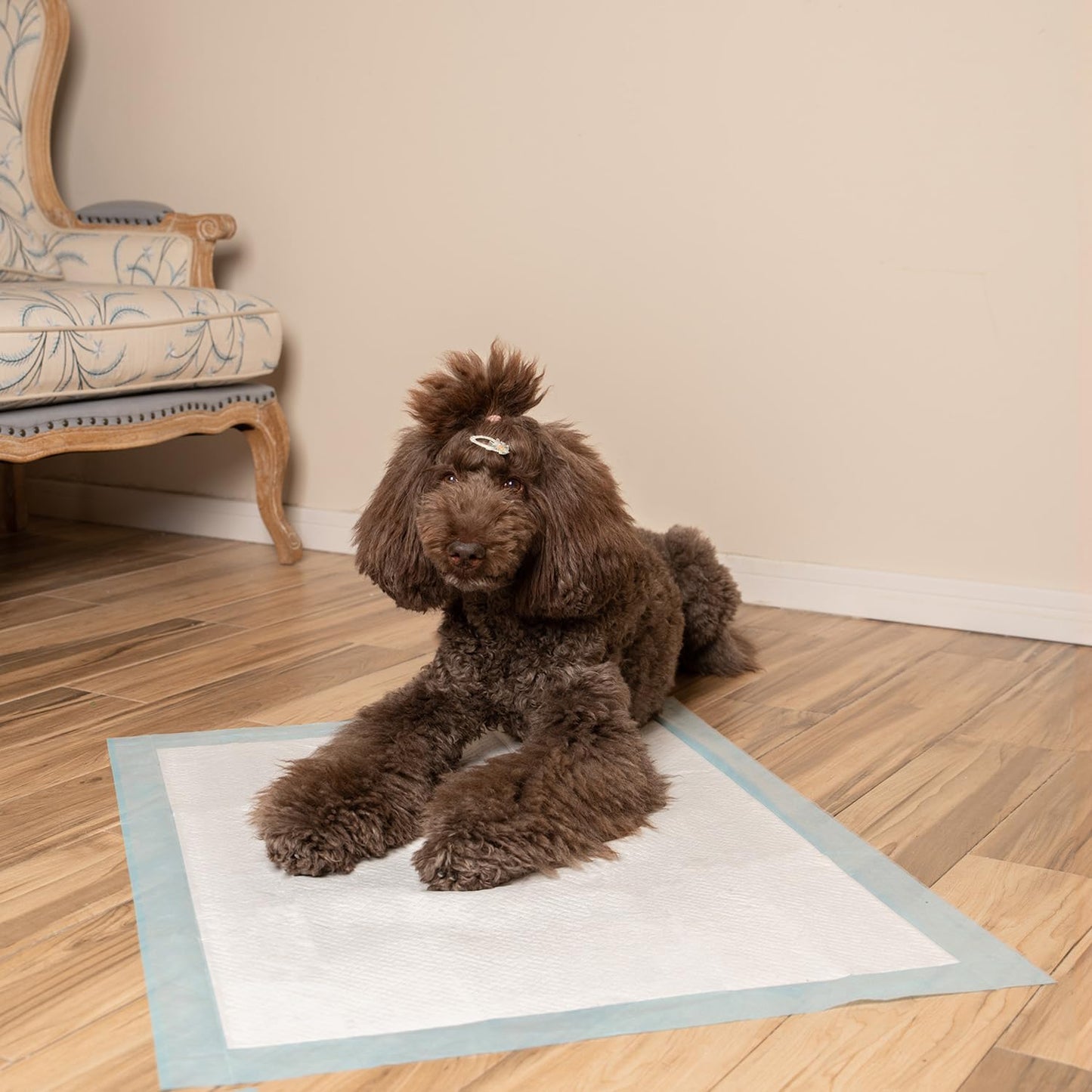 XL Puppy Pads 100 Count - Super Absorbent Dog Training Pads, Quick-Dry, Odor Control, Disposable Pee Pads, Leak-Proof Wee Wee Pads for Indoor Dogs – Baby Blue XL, 100 Pack