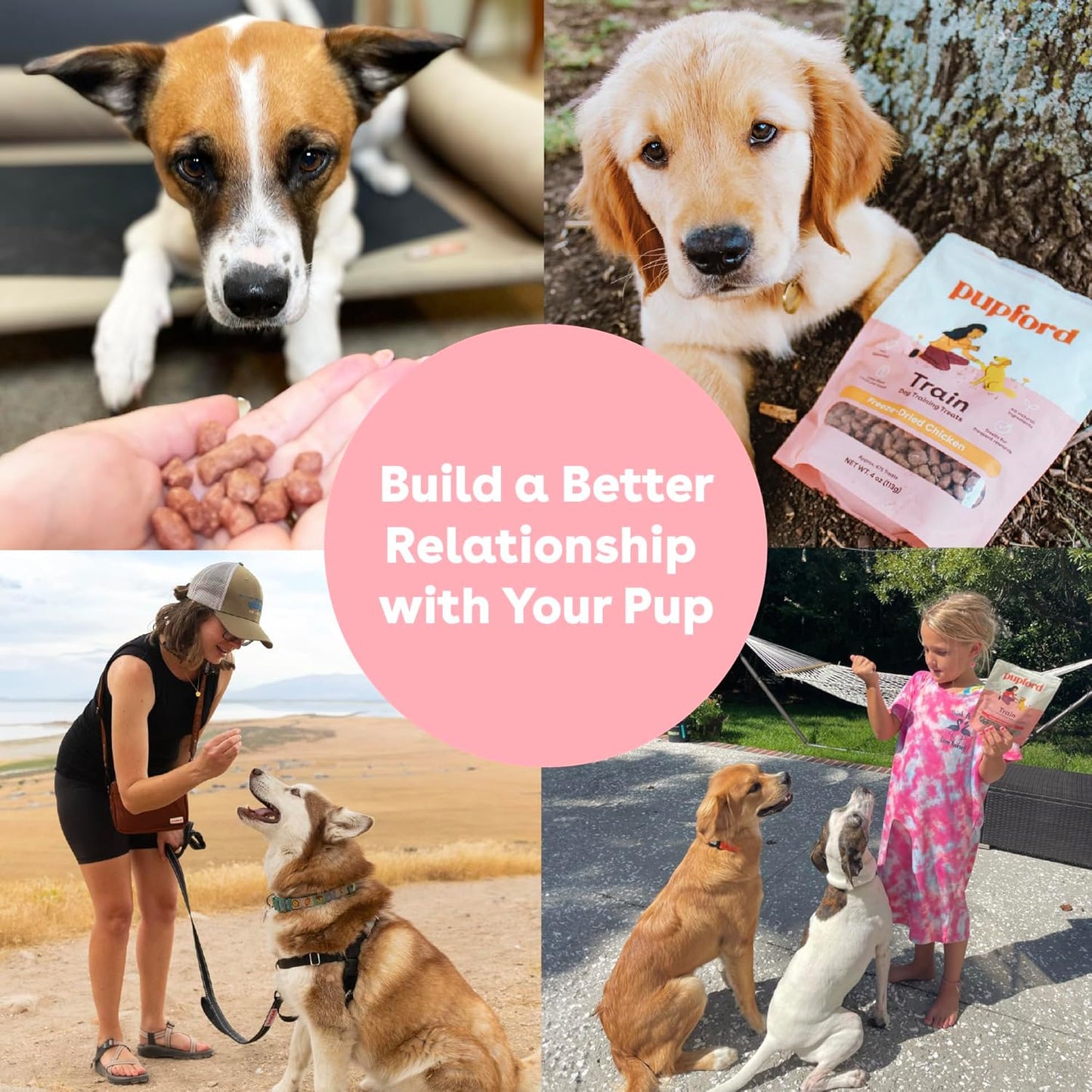 Freeze Dried Training Treats for Dogs & Puppies, 1400+ Two Ingredient Bites (Chicken, 4 Oz, 3 Pack)