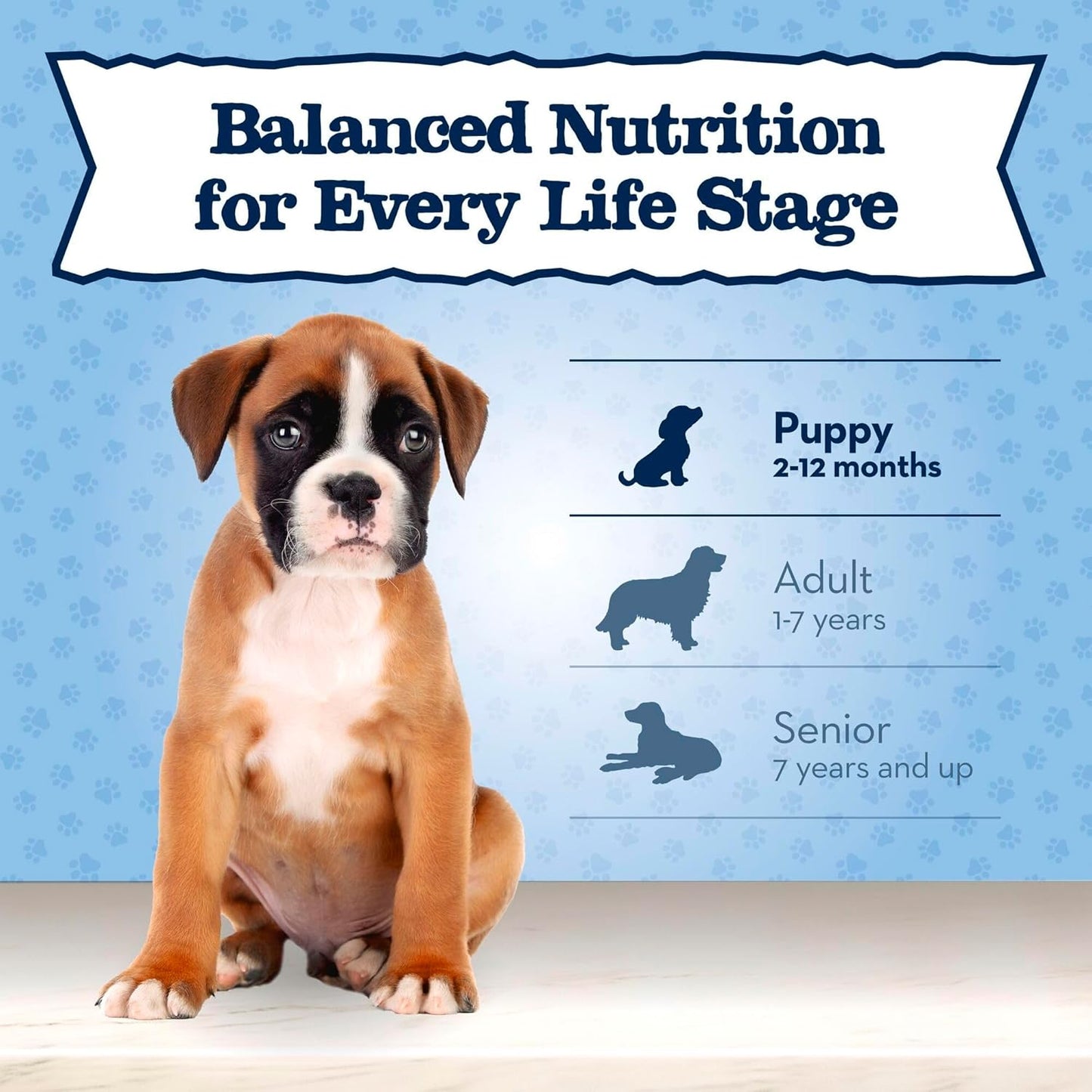 Baby BLUE Natural Small Breed Puppy Dry Dog Food, Healthy Growth Formula with DHA, Chicken and Oatmeal Recipe, 4-Lb. Bag