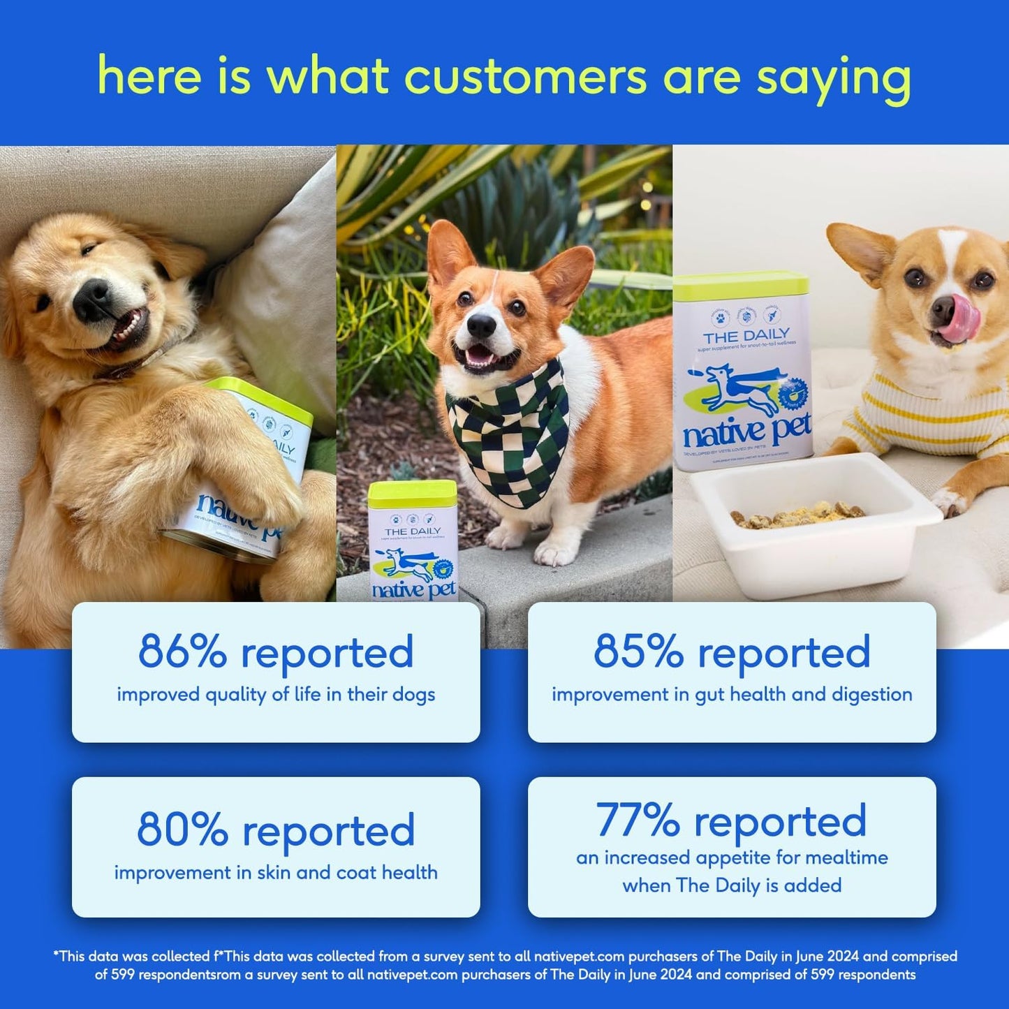 Dog Vitamins & Supplements - 11-In-1 Multivitamin Powder for Dogs Food Topper - Collagen, Glucosamine, Probiotics, Omega & More- Supports Healthy Gut, Mobility & Overall Health -120 Scoops