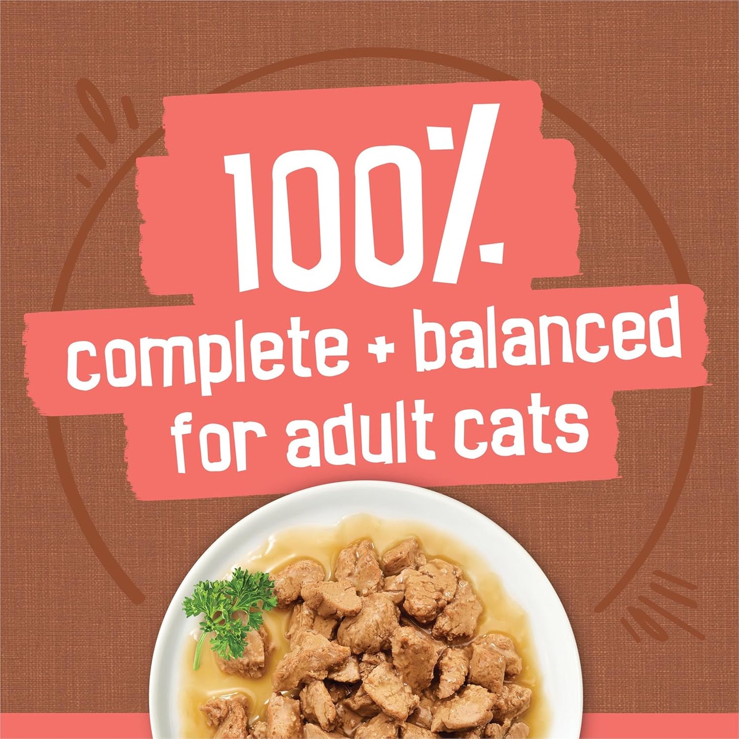 Purina Extra Gravy Wet Cat Food Chunky 24Ct Variety Pack (With Chicken, Turkey, Salmon, Beef) - (Pack of 24) 5.5 Oz. Cans