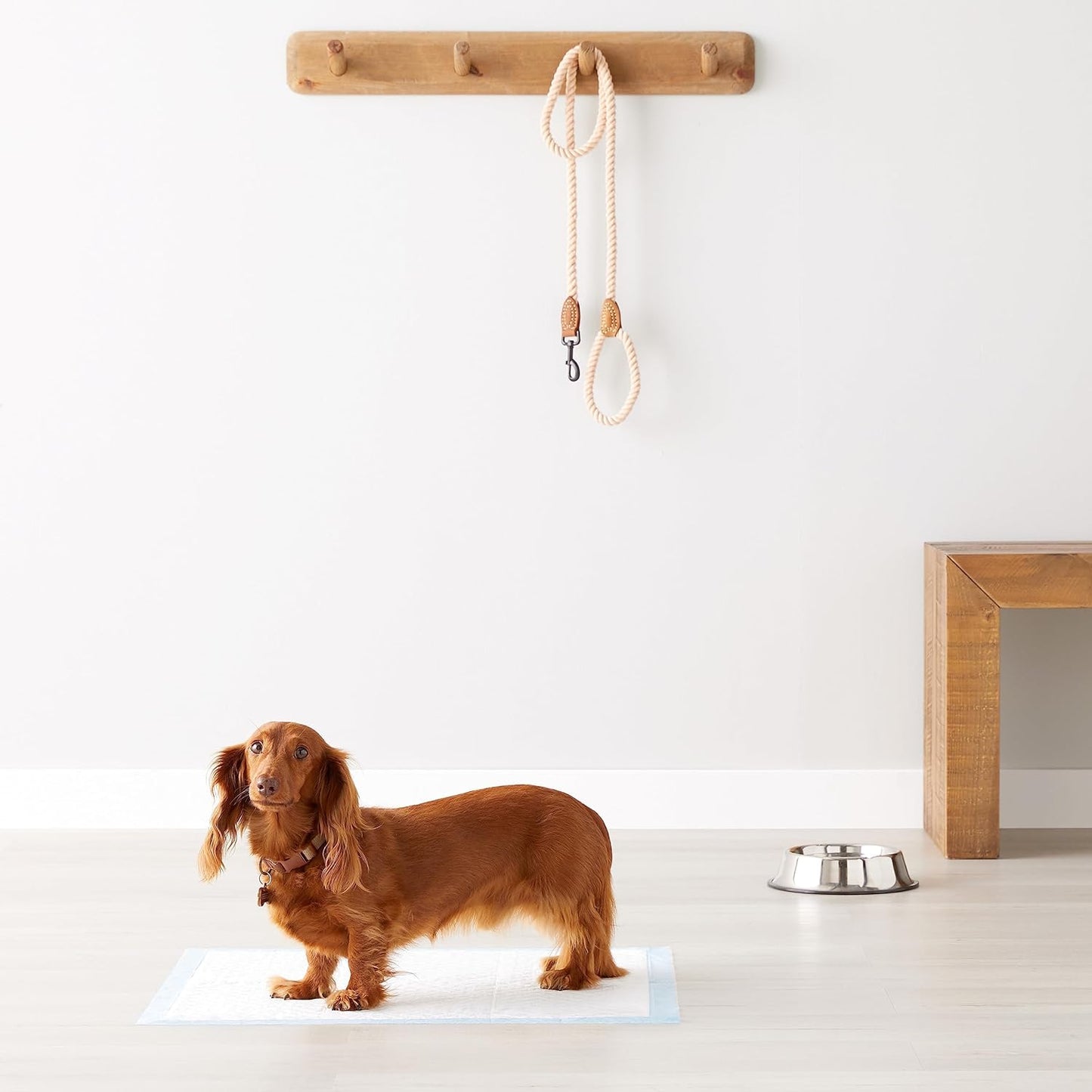 Heavy Duty Dog and Puppy Pee Pads, 5-Layer Leak-Proof Ultra Absorbent, Quick-Dry Surface, Potty Training, Regular (24X23"), 80 Count, Blue & White