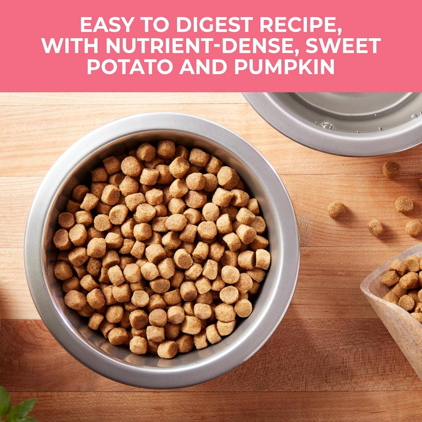 Nature’S Recipe Grain Free Salmon, Sweet Potato & Pumpkin Recipe Dry Dog Food, 24 Lb. Bag