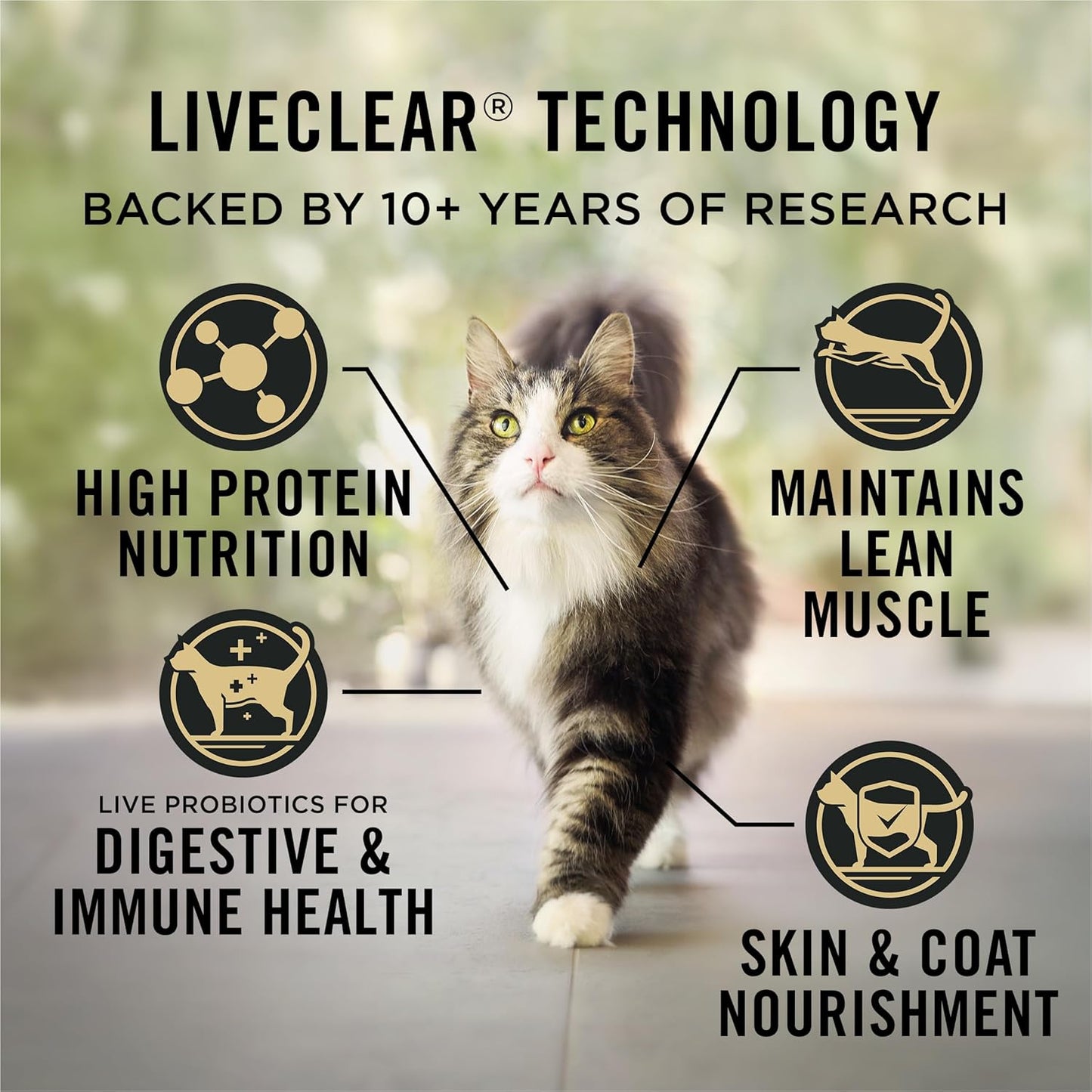Indoor Cat Food Liveclear Cat Allergen Reducing Turkey and Rice Formula - 5.5 Lb. Bag