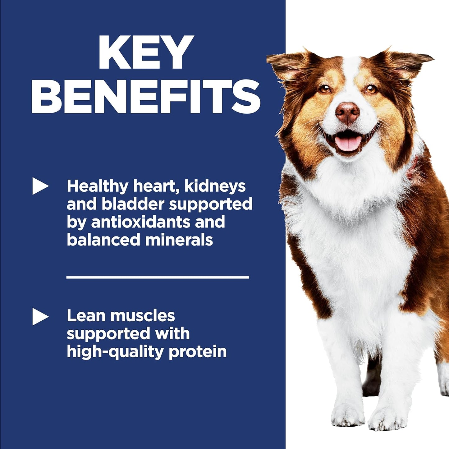 Adult 7+, Senior Adult 7+ Premium Nutrition, Dry Dog Food, Chicken, Brown Rice, & Barley, 5 Lb Bag