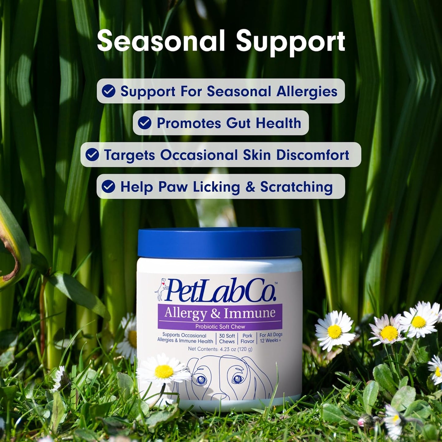 Allergy & Immune Probiotics for Dogs, Support Seasonal Allergies, Gut & Digestive Health - Pork Flavor - 30 Soft Chews