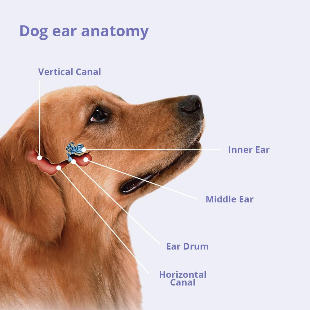 Trizedta Trizultra+Keto Flush for Dogs, Cats and Horses, 4 Oz