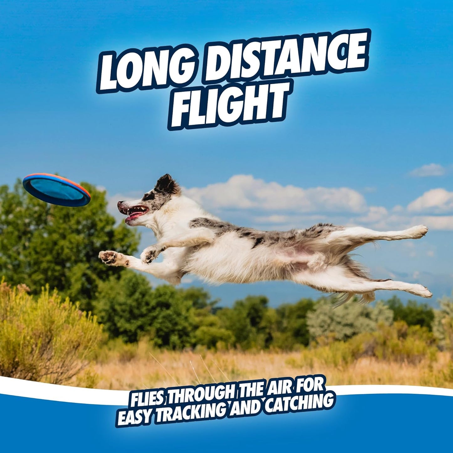 Paraflight Flying Disc Dog Toy - Water Floating Flyer - Durable Nylon Construction with Soft Rubber Edges - for Medium and Large Dogs - Size Large - 9.75" L X 9.75" W - Pack of 1