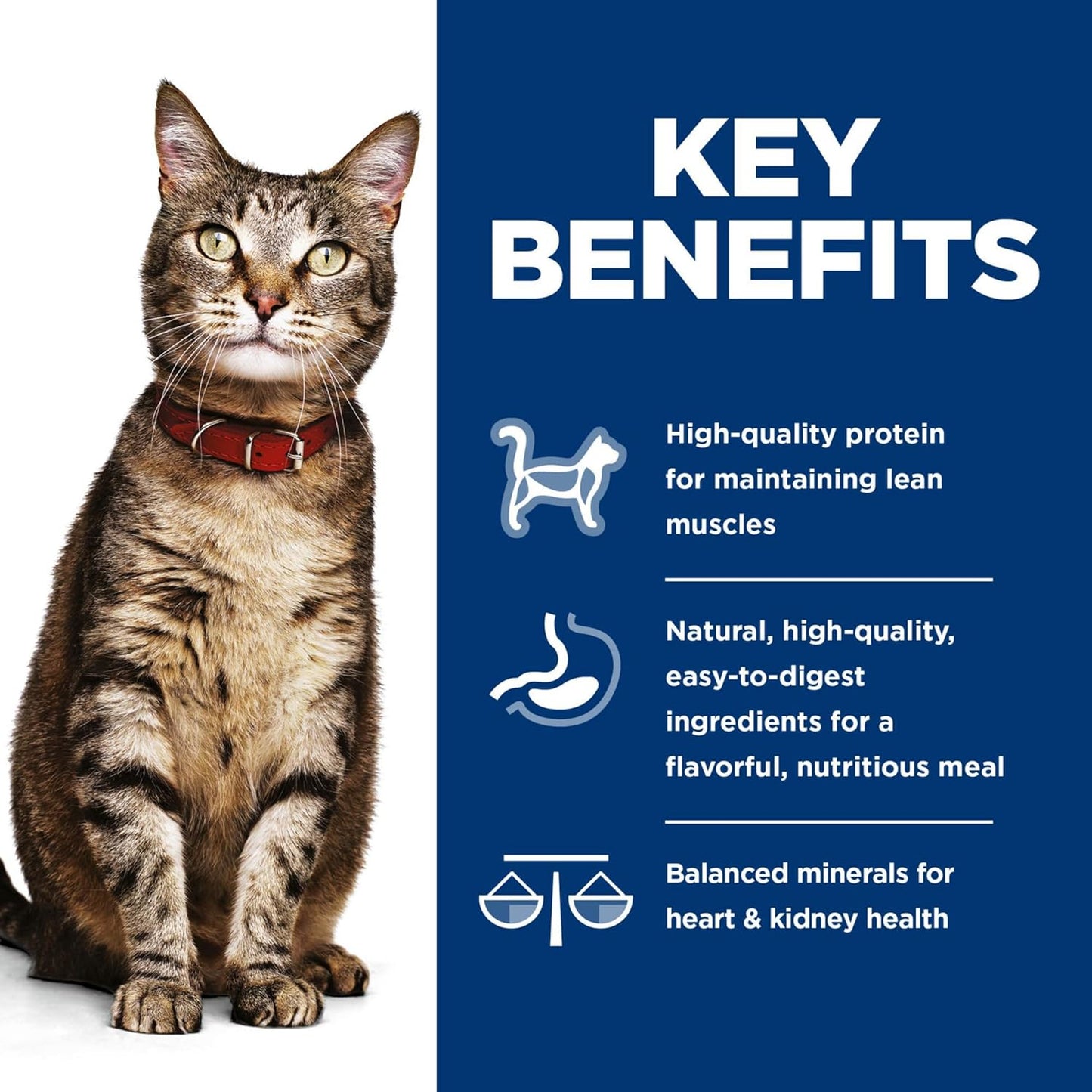 Adult 1-6, Adult 1-6 Premium Nutrition, Wet Cat Food, Variety Pack: Turkey; Chicken; Turkey & Liver Minced, 5 Oz Can Variety Pack, Case of 12