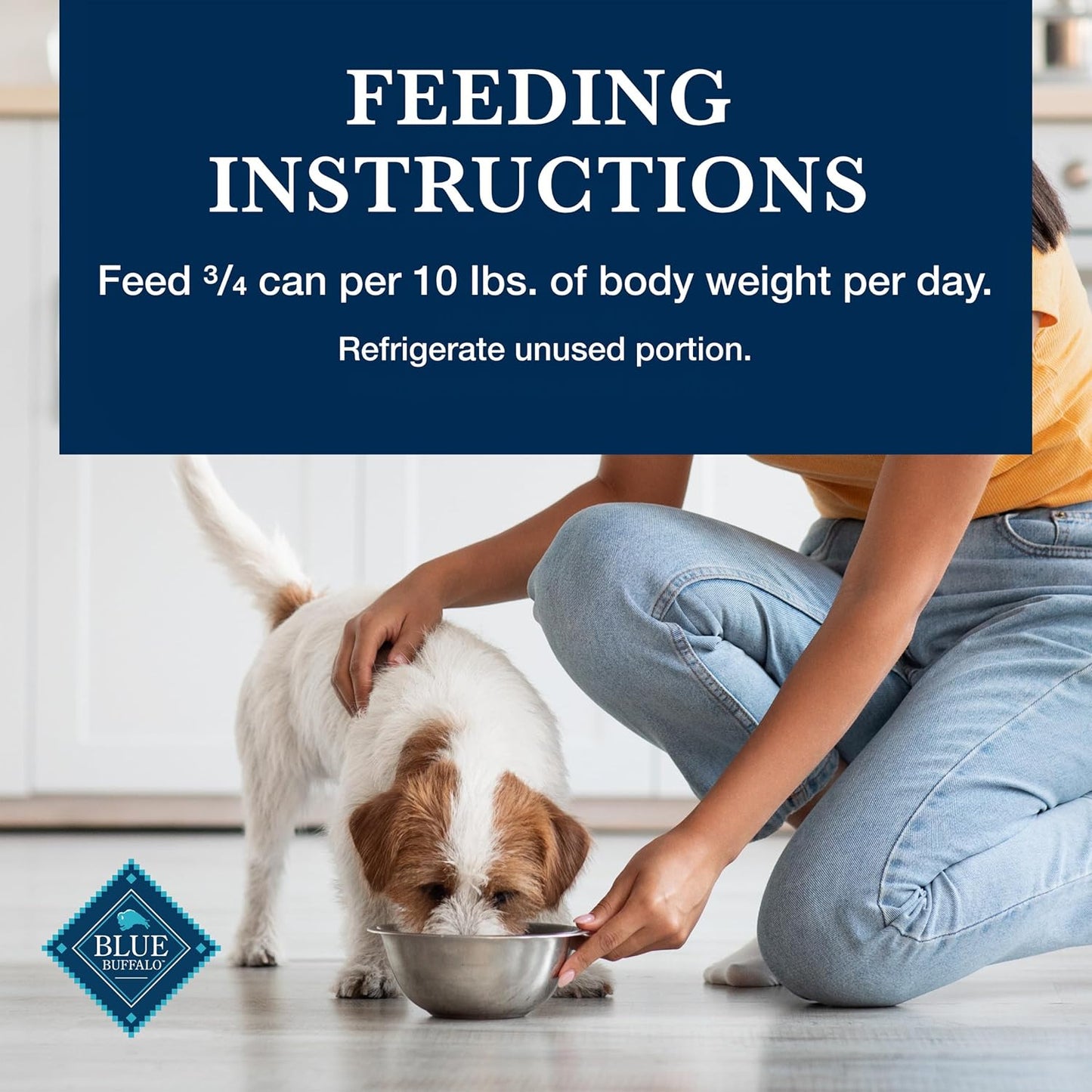 Homestyle Recipe Adult Wet Dog Food, Made with Natural Ingredients, Lamb Dinner with Garden Vegetables, 12.5-Oz Can (Pack of 12)