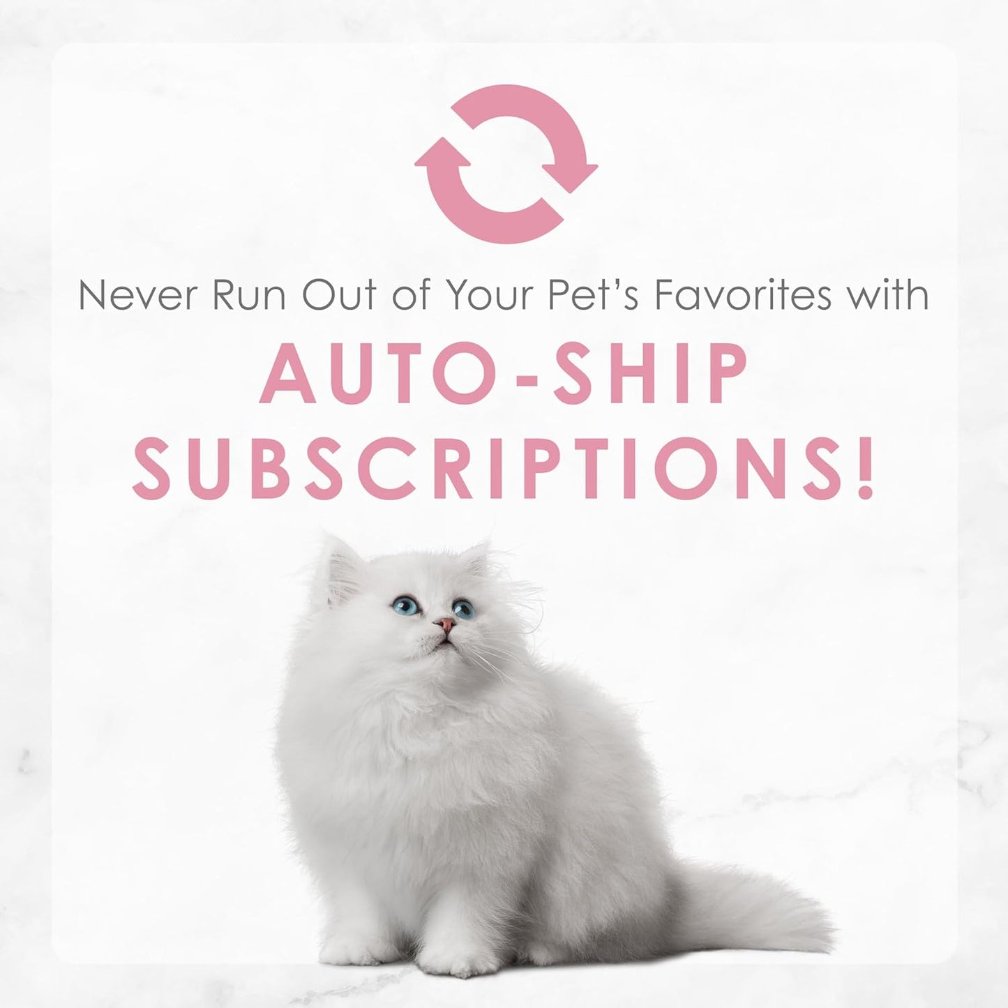 Purina Tender Ocean Whitefish, Turkey, Chicken and Salmon Feasts Wet Kitten Food Variety Pack - (Pack of 24) 3 Oz. Boxes