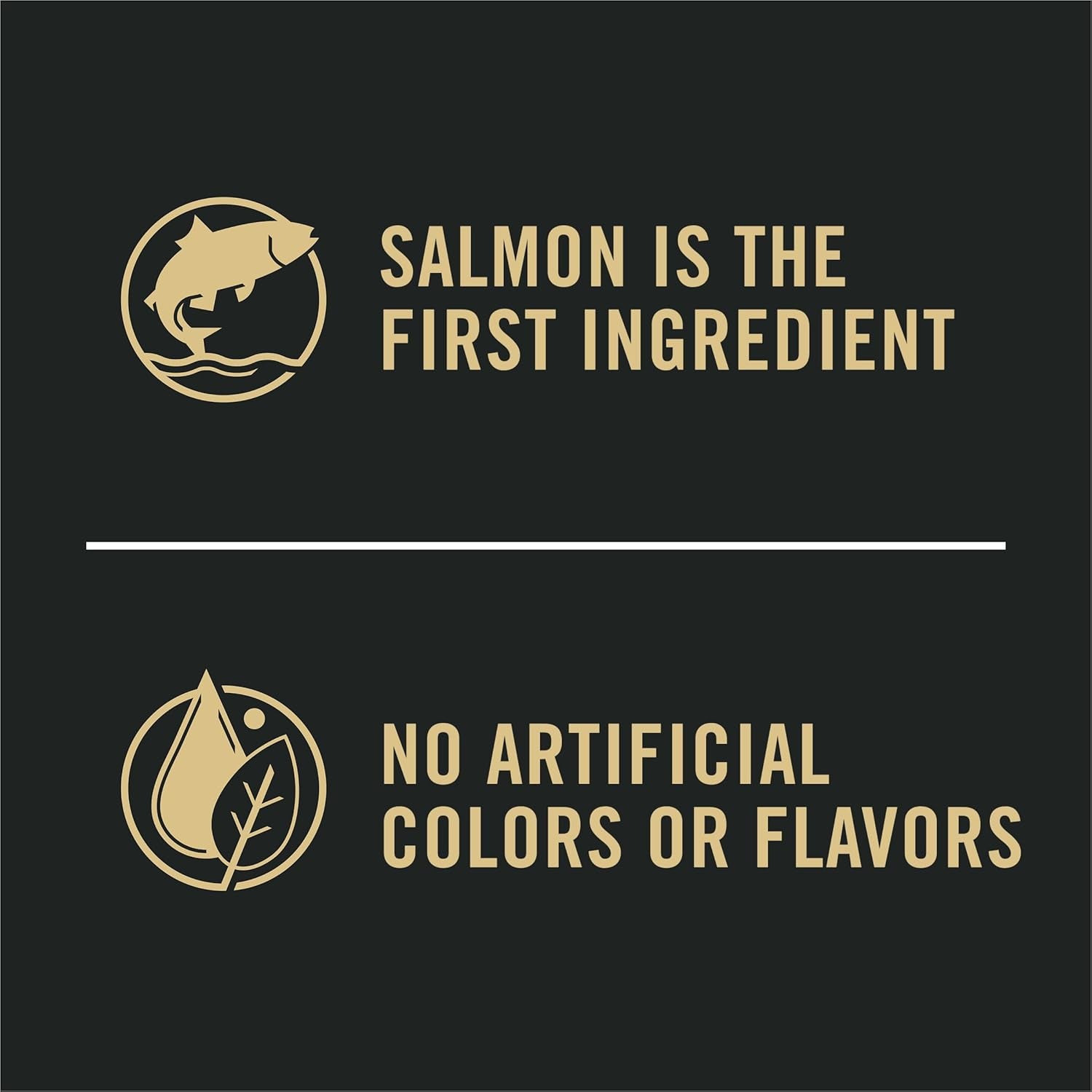 Complete Essentials Shredded Blend Salmon and Rice Dog Food Dry Formula with Probiotics for Dogs - 15 Lb. Bag