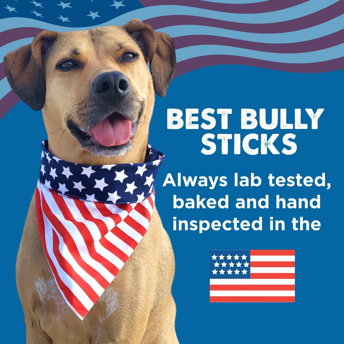 Thick 6 Inch Bully Sticks for Dogs - 5 Count (Pack of 1) - Natural, Grass-Fed Beef, Single Ingredient, Grain and Rawhide Free - Large Breeds