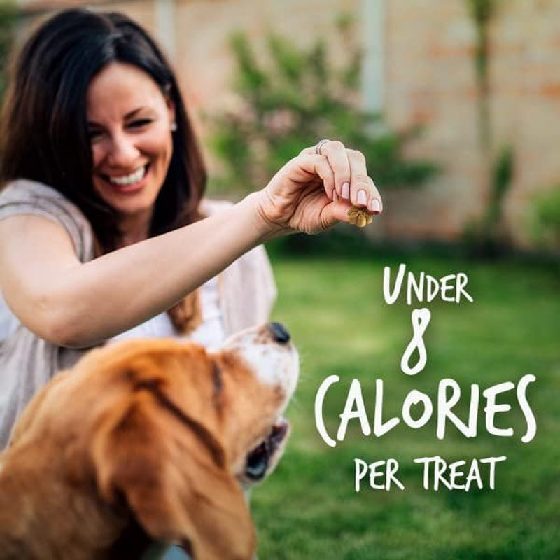 Baked Dog Treats, Healthy Pumpkin Treat for Dogs, Low Calorie & Delicious, Free of Wheat, Corn and Soy, Made in the USA, Pumpkin and Banana Flavor, 7Oz