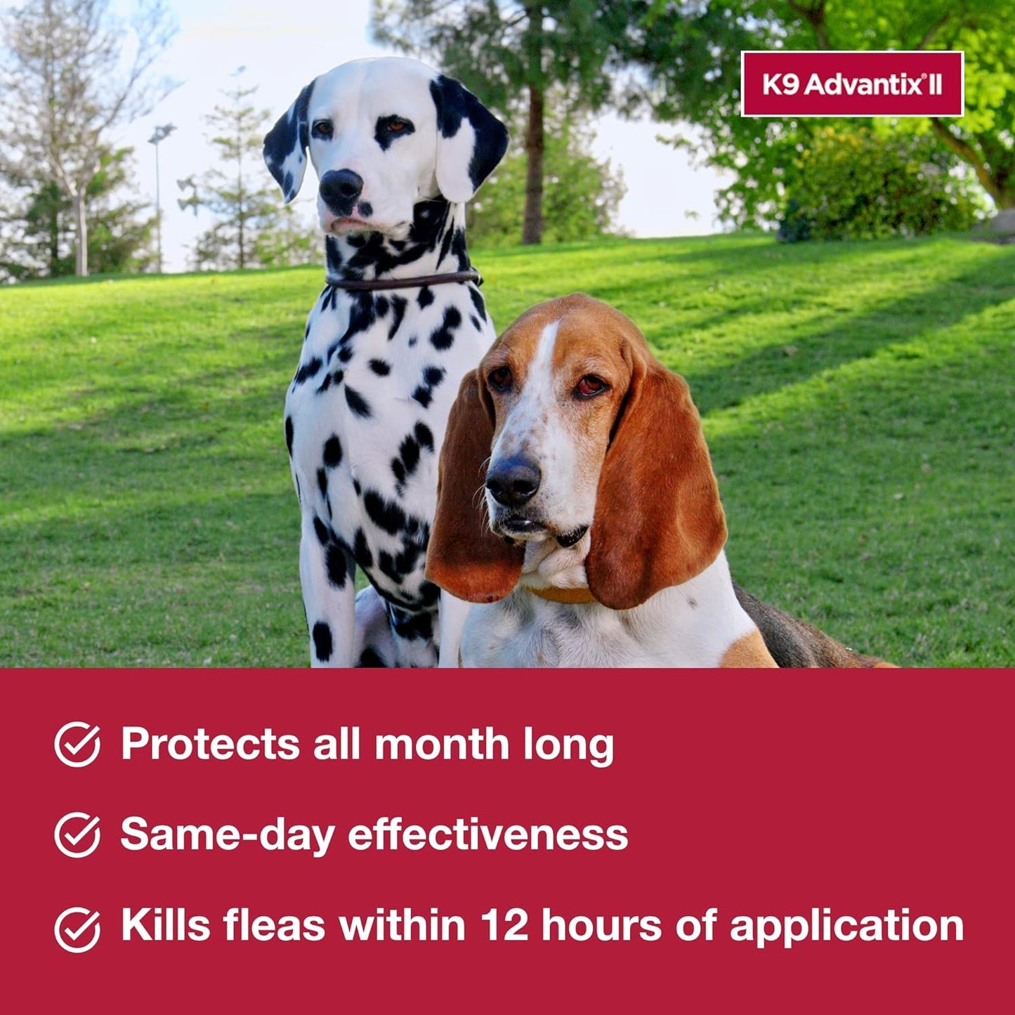 II Medium Dog Vet-Recommended Flea, Tick & Mosquito Treatment & Prevention | Dogs 11-20 Lbs. | 2-Mo Supply