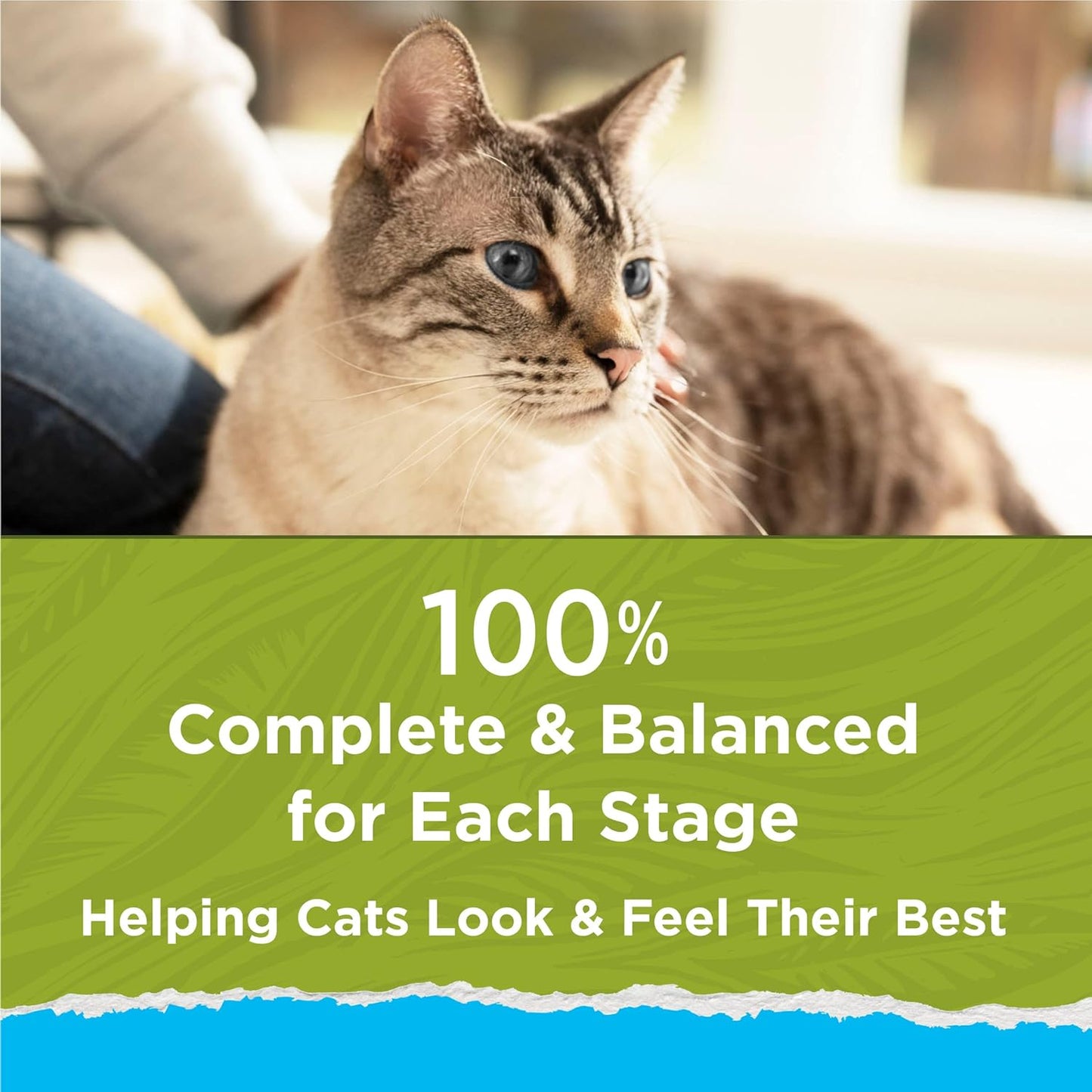 Hairball, Healthy Weight, Indoor, Natural Dry Cat Food, Naturals Indoor - (Pack of 4) 3.15 Lb. Bags