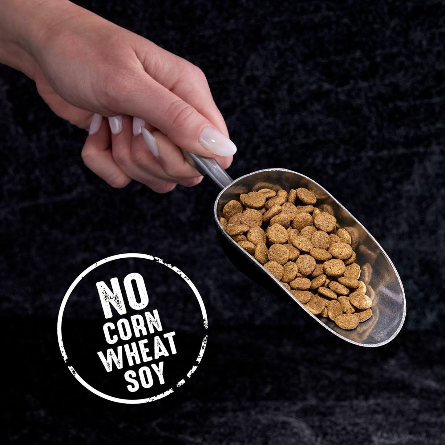 Grain Free Indoor Adult High Protein Natural Dry Cat Food with Protein from Chicken & Salmon, 10 Lb. Bag