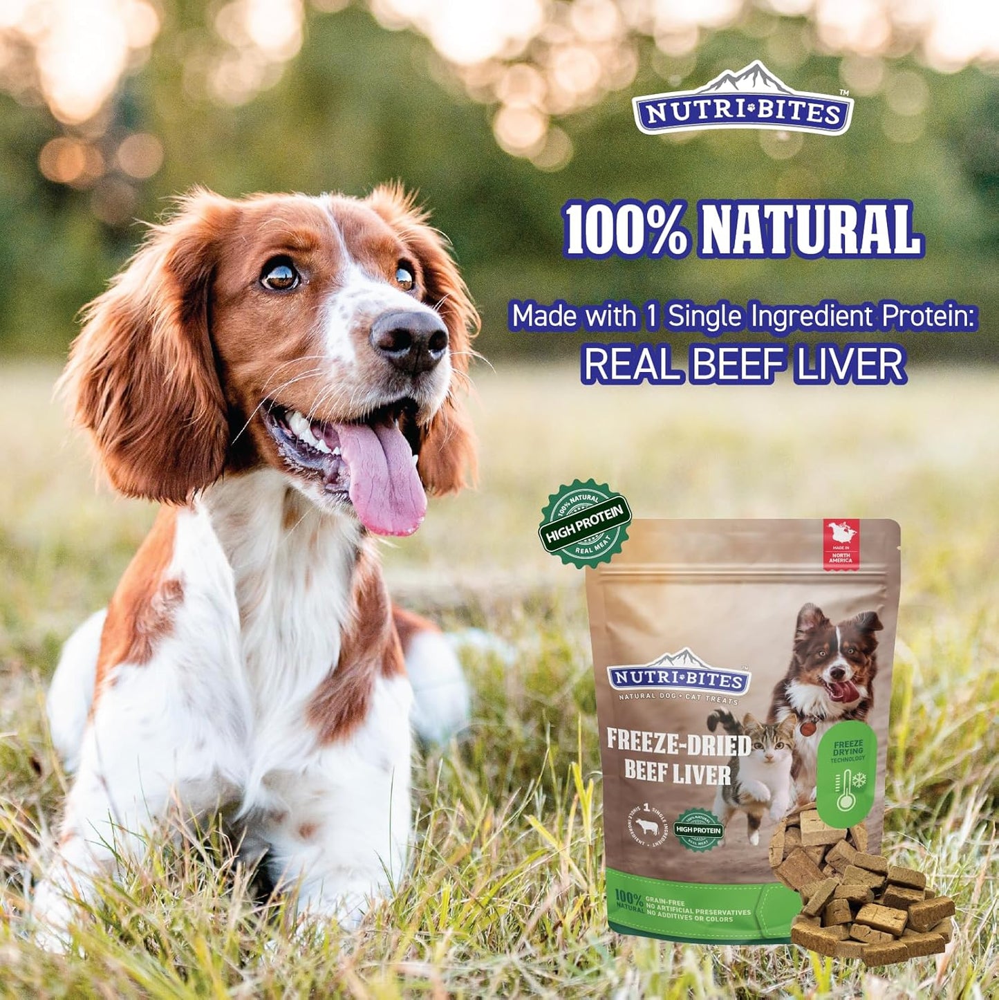 Freeze Dried Beef Liver Dog & Cat Treats | Healthy Pet Training Treats or Food Topper | All Natural, Single Ingredient, High Protein | Premium Bulk Value Pack, 17.6 Oz