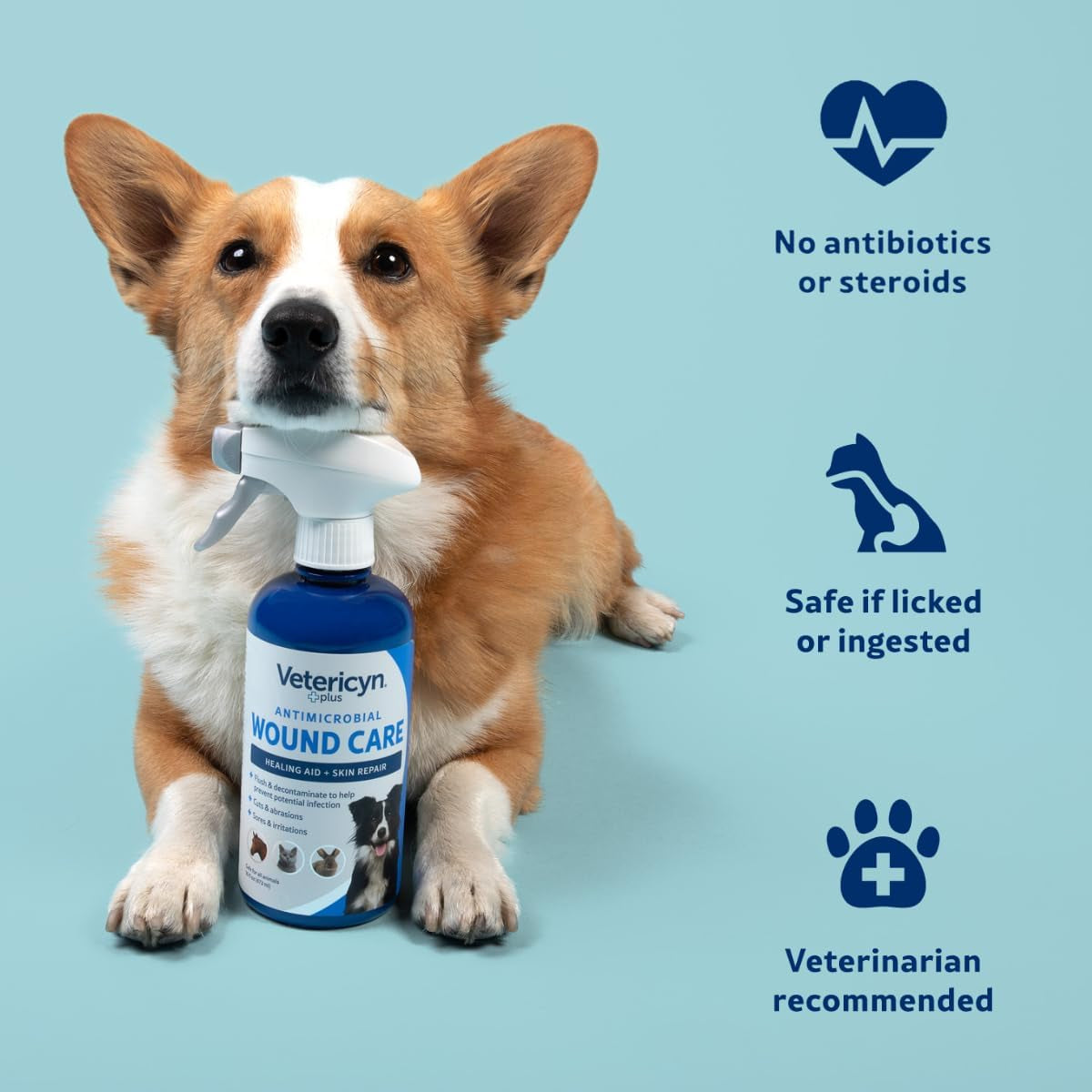 plus Dog Wound Care Spray | Healing Aid and Skin Repair, Clean Wounds, Relieve Dog Skin Allergies, Safe for All Animals. 16 Ounces