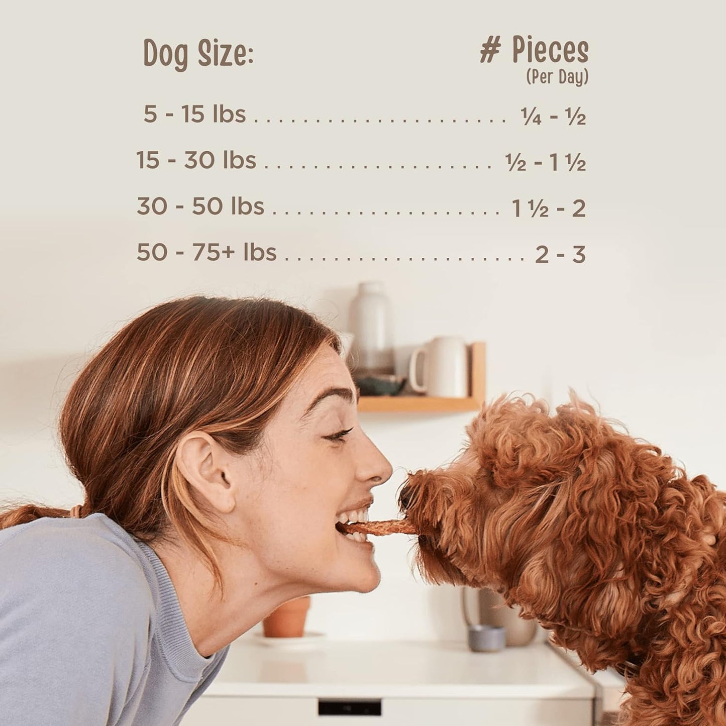 Chicken Fillet Healthy All Natural Dog Treats Human Grade Made in USA 48 Oz