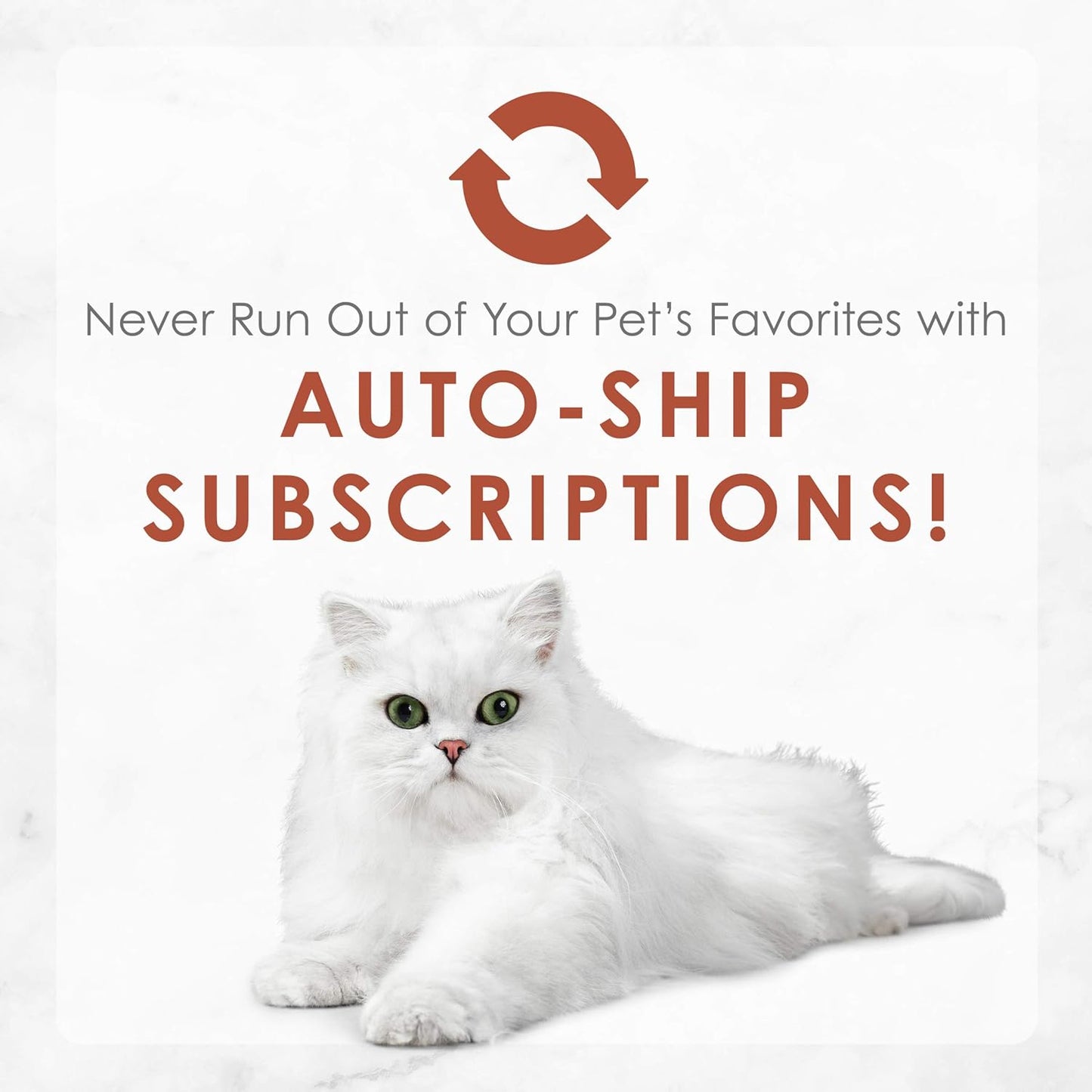 Purina Chicken and Beef Classic Pate Collection Grain Free Wet Cat Food Variety Pack - (Pack of 24) 3 Oz. Pull-Top Cans