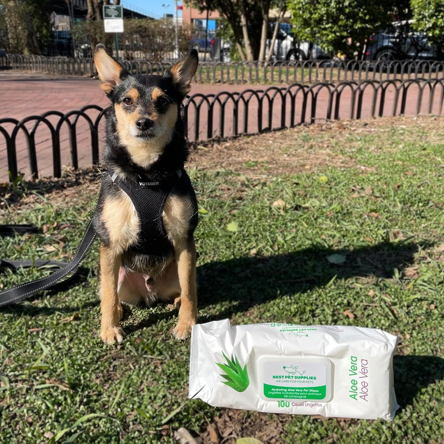 Pet Wipes for Dogs - Dog Wipes Cleaning Deodorizing, for Coats, Ears, Paws - Hydrating, Aloe Vera