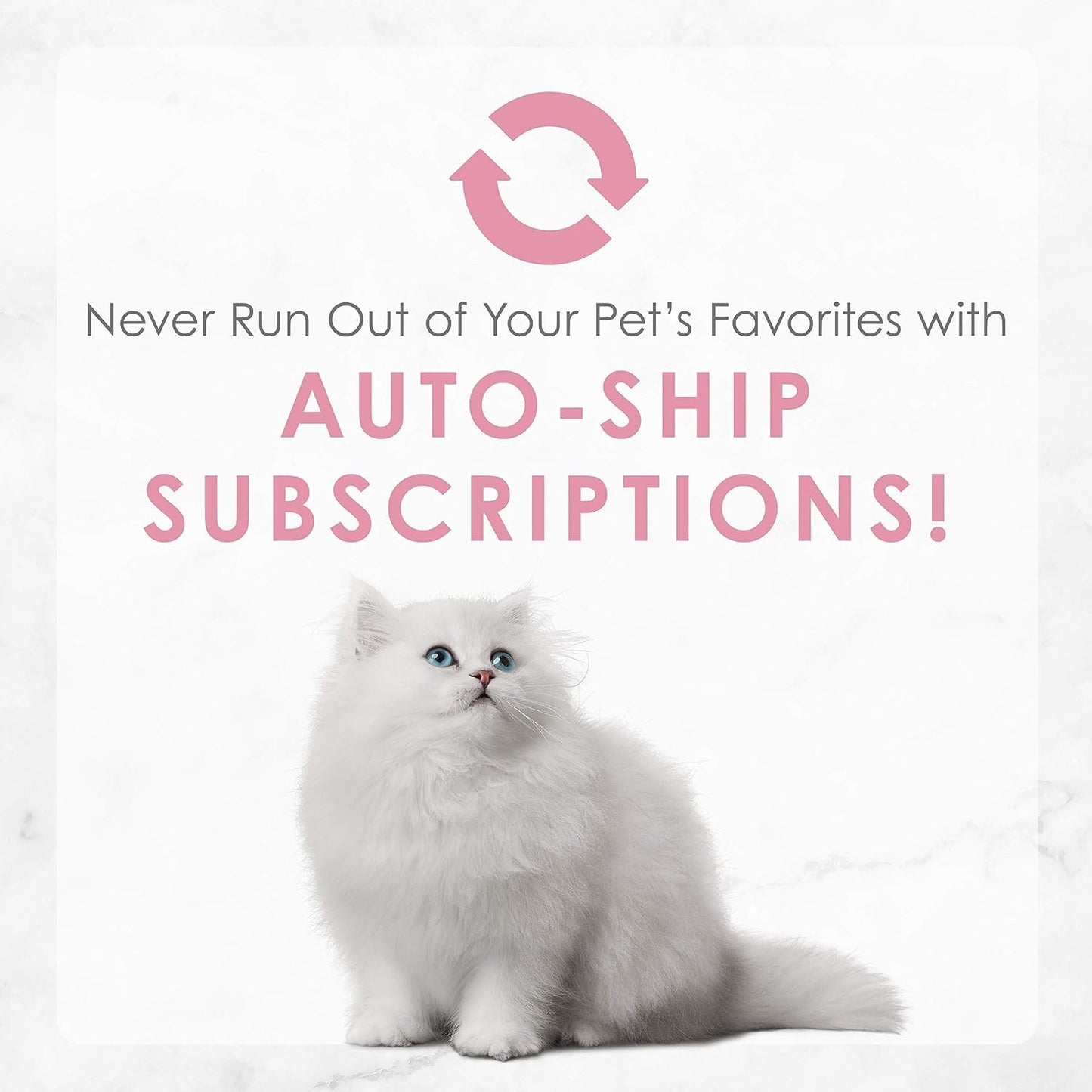 Purina Tender Ocean Whitefish Feast Wet Kitten Food - (Pack of 24) 3 Oz. Cans