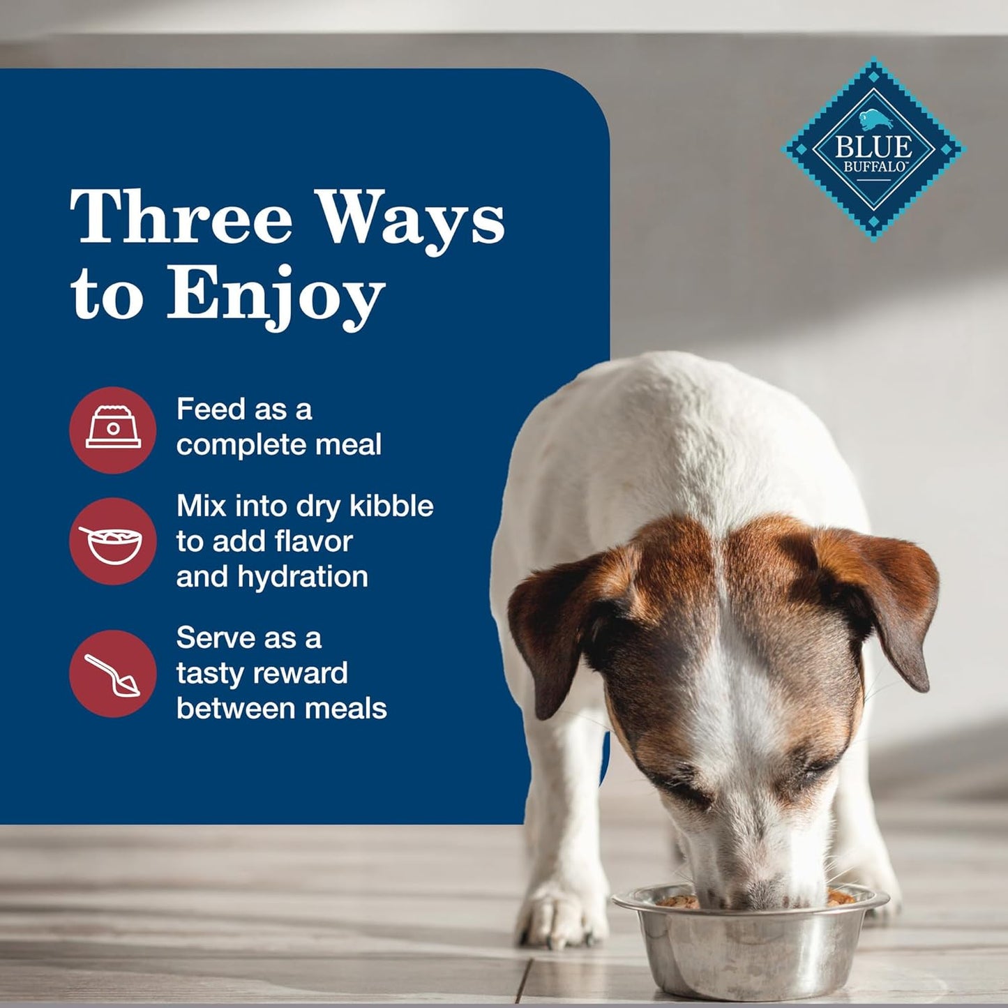 Homestyle Recipe Senior Wet Dog Food, Made with Natural Ingredients, Beef Dinner with Garden Vegetables, 12 Pack