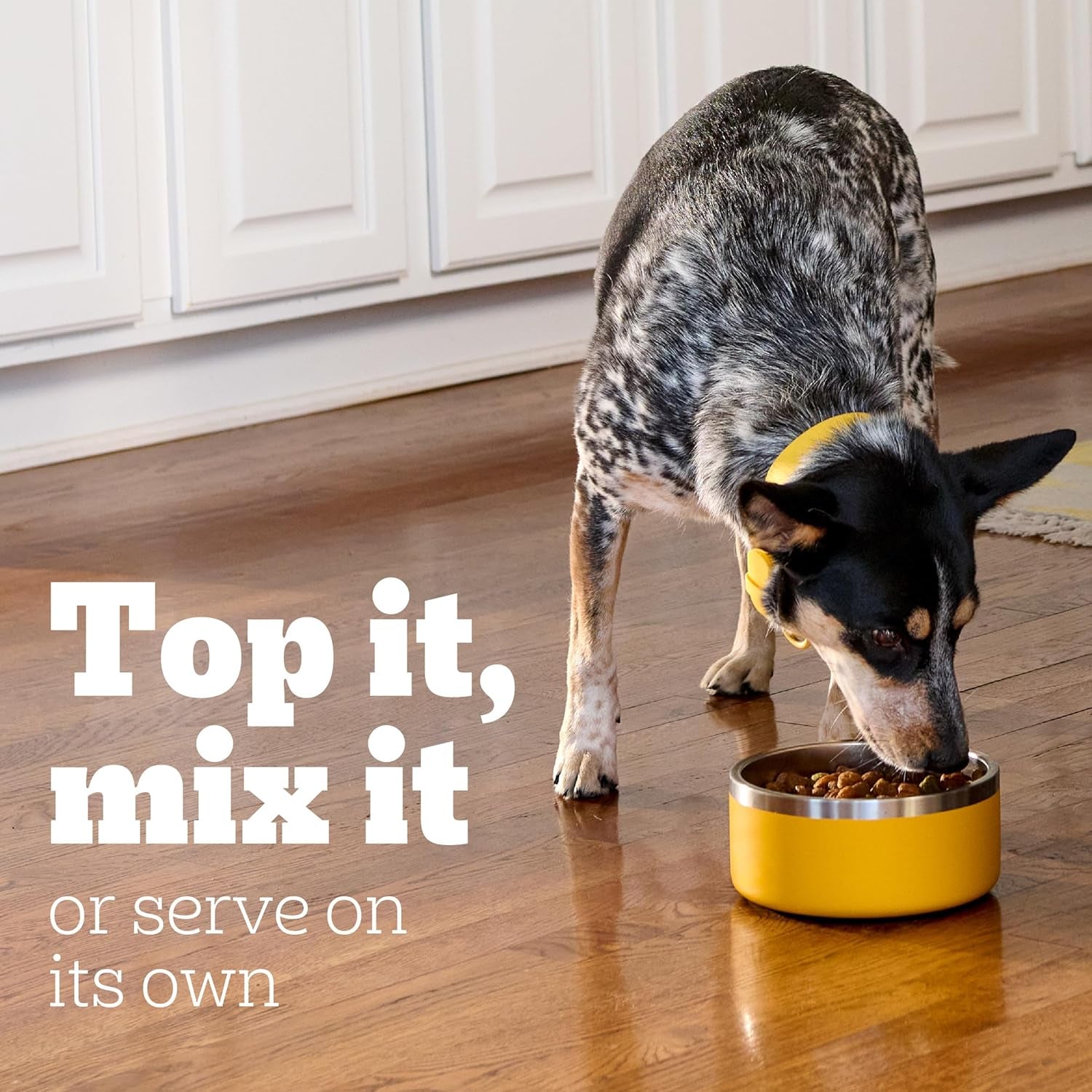 Choice Cuts in Gravy Adult Soft Wet Dog Food 30-Count Variety Pack, 3.5 Oz. Pouches