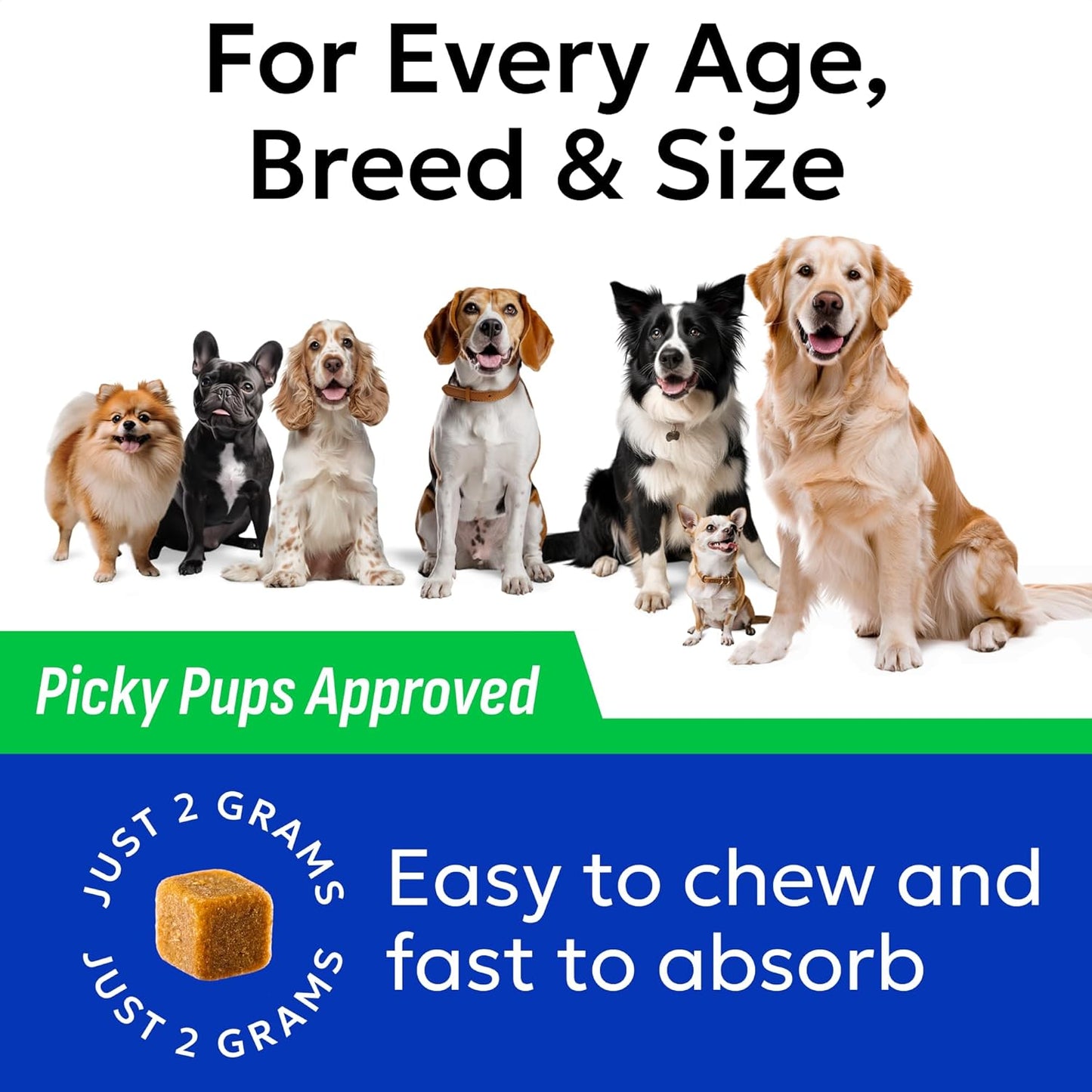 Green Grass Chews - Dog Pee Grass Spot Saver Caused by Dog Urine - Urine Neutralizer for Lawn, Gut Health Probiotics & Enzymes, Lawn Burn from Pee, Grass Burn Spot Chews Rocks