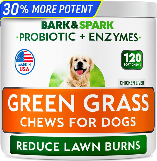 Green Grass Chews - Dog Pee Grass Spot Saver Caused by Dog Urine - Urine Neutralizer for Lawn, Gut Health Probiotics & Enzymes, Lawn Burn from Pee, Grass Burn Spot Chews Rocks