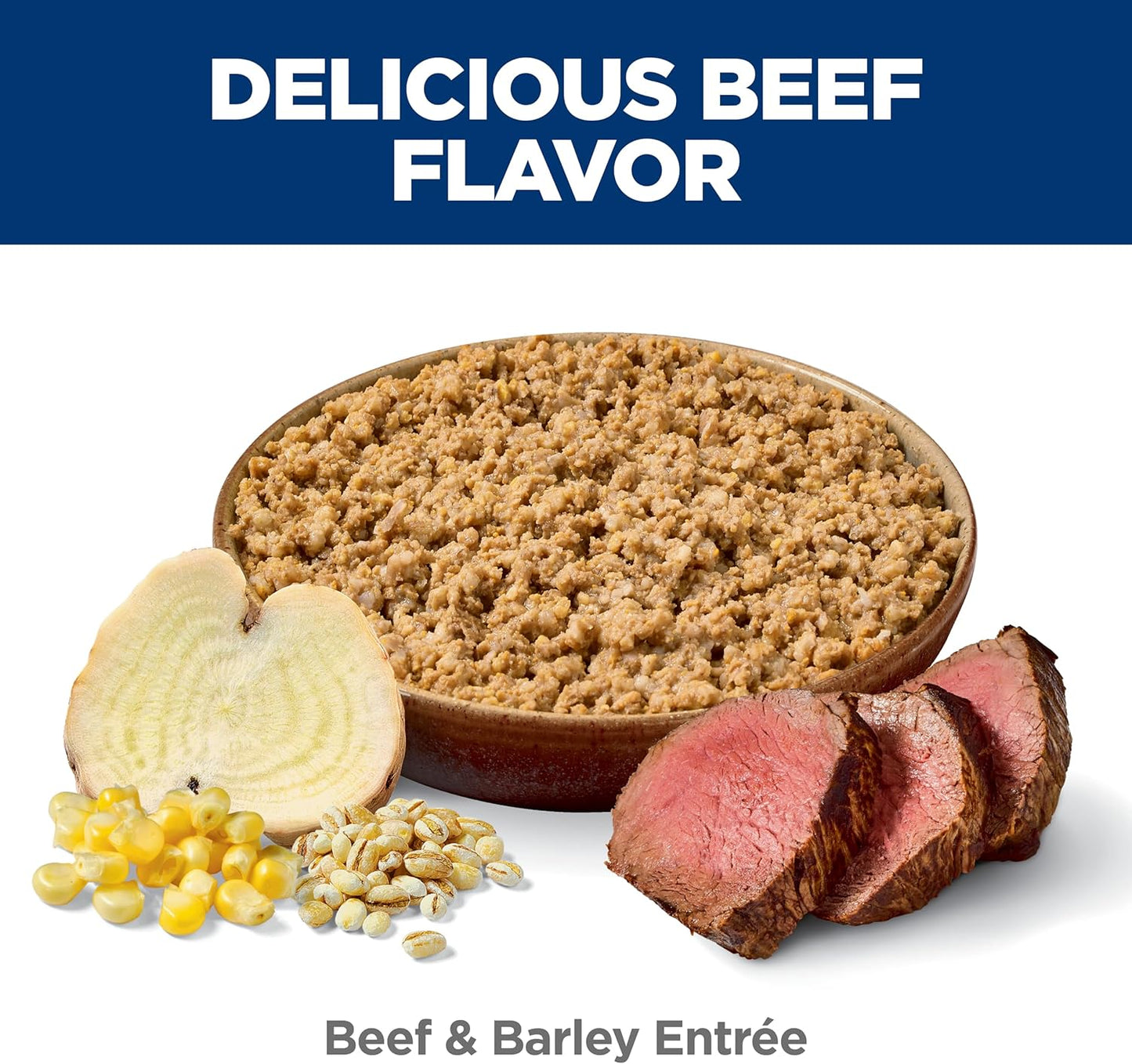 Adult 7+, Senior Adult 7+ Premium Nutrition, Wet Dog Food, Beef & Barley Loaf, 13 Oz Can, Case of 12