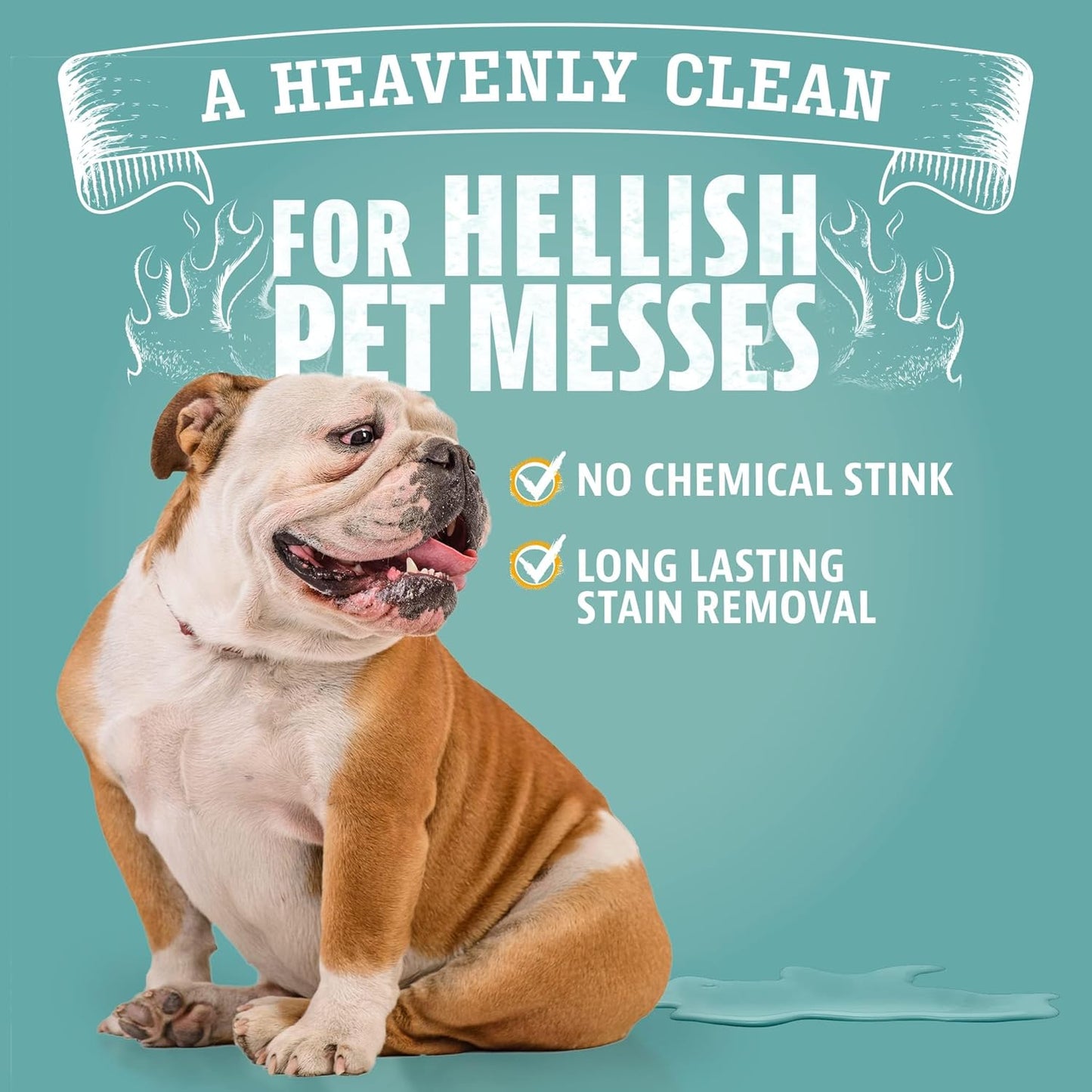 Stain Remover - 32Oz Enzyme Pet Cleaner - Dog & Cat Urine Destroyer and Stain Remover - Citrus Spray Cleaning Solution - Puppy Supplies
