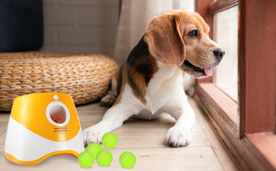 Automatic Ball Launcher for Dogs