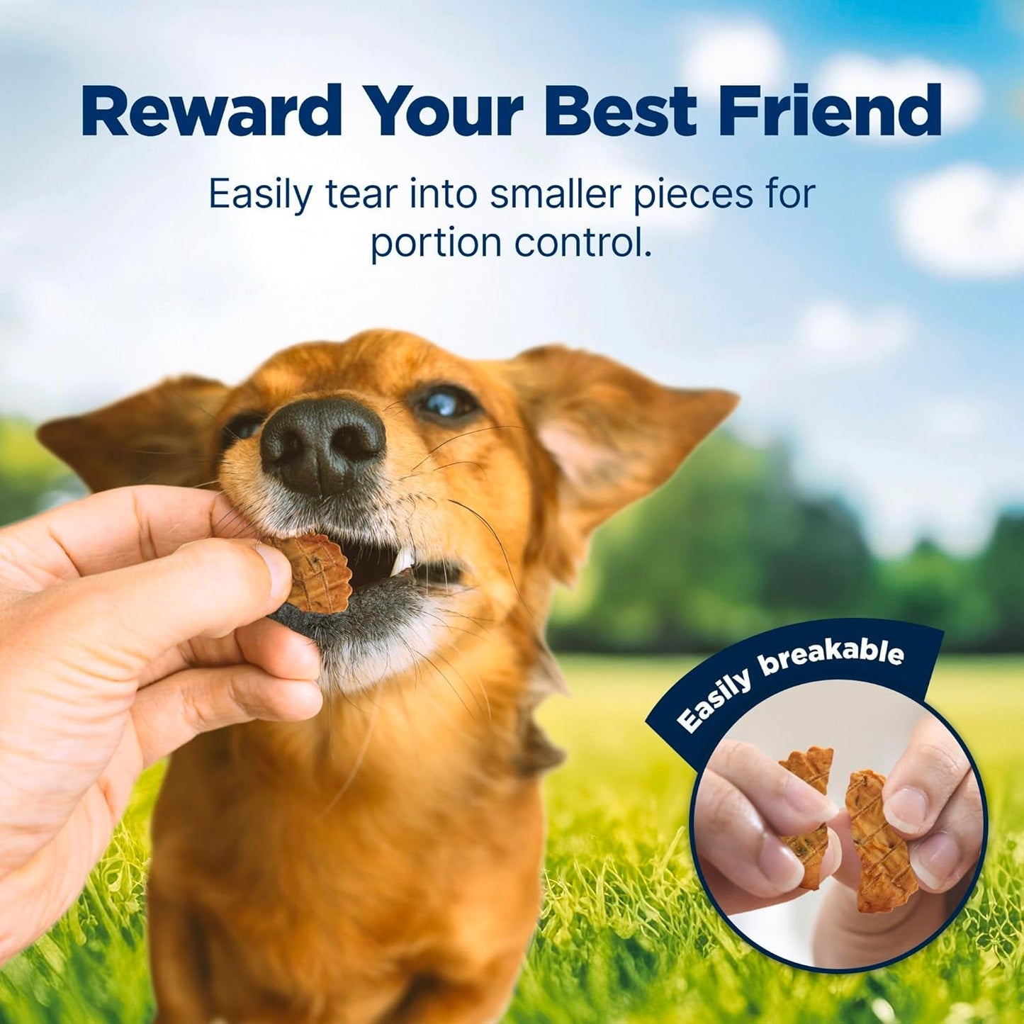 Nudges Homestyle Natural Dog Treats Made with Real Chicken, Made in the USA, Chicken, 10-Oz Bag