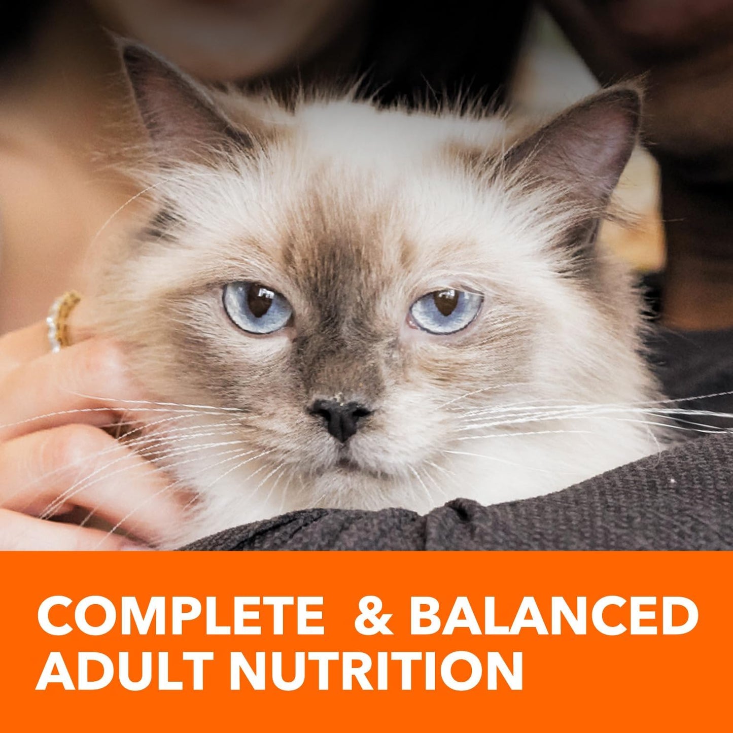 Proactive Health Indoor Weight Control & Hairball Care Adult Dry Cat Food, Chicken & Turkey Recipe, 7 Lb. Bag