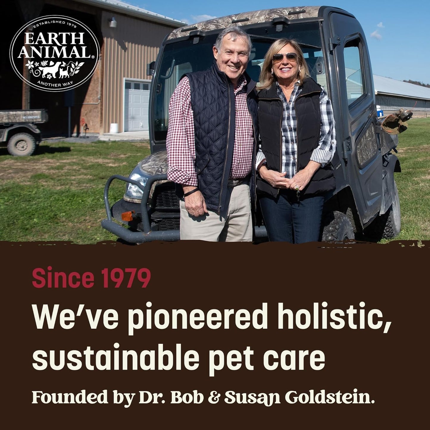 No Hide Stix - Long Lasting Rawhide Free Small Dog Chews Sticks, Beef - 20 Count Value Pack