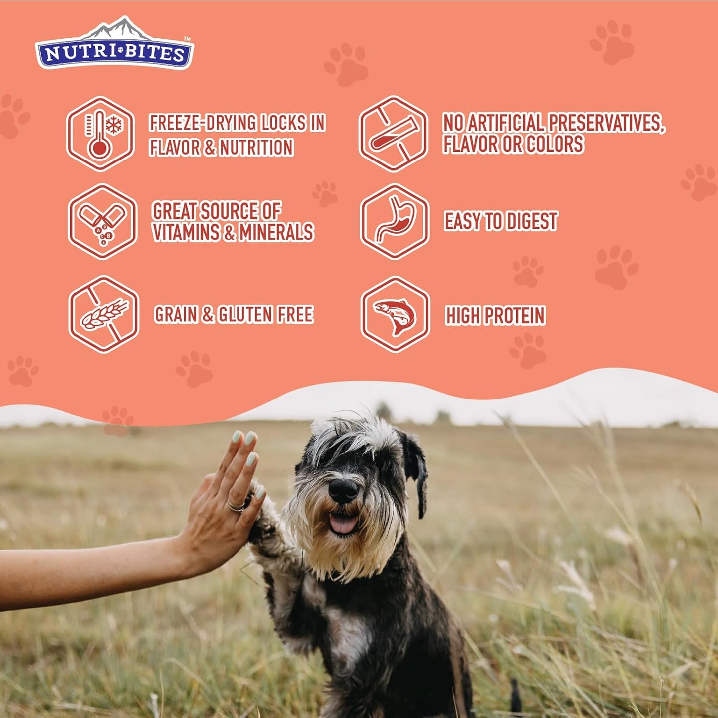 Freeze Dried Salmon Dog & Cat Treats | Healthy Pet Training Treats or Food Topper | All Natural, 1 Single Animal Protein, High Protein | Premium Bulk Value Pack, 14 Oz