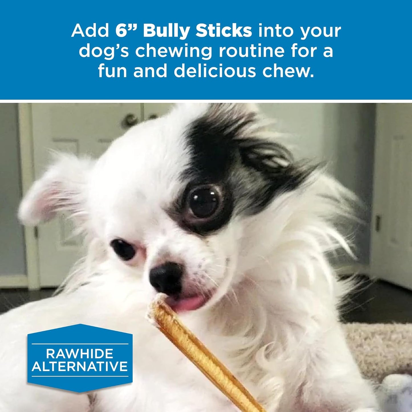 6 Inch Bully Sticks - 8 Oz (Pack of 1) - Natural Grass-Fed, Grain and Rawhide Free, Great for Medium or Large Pets