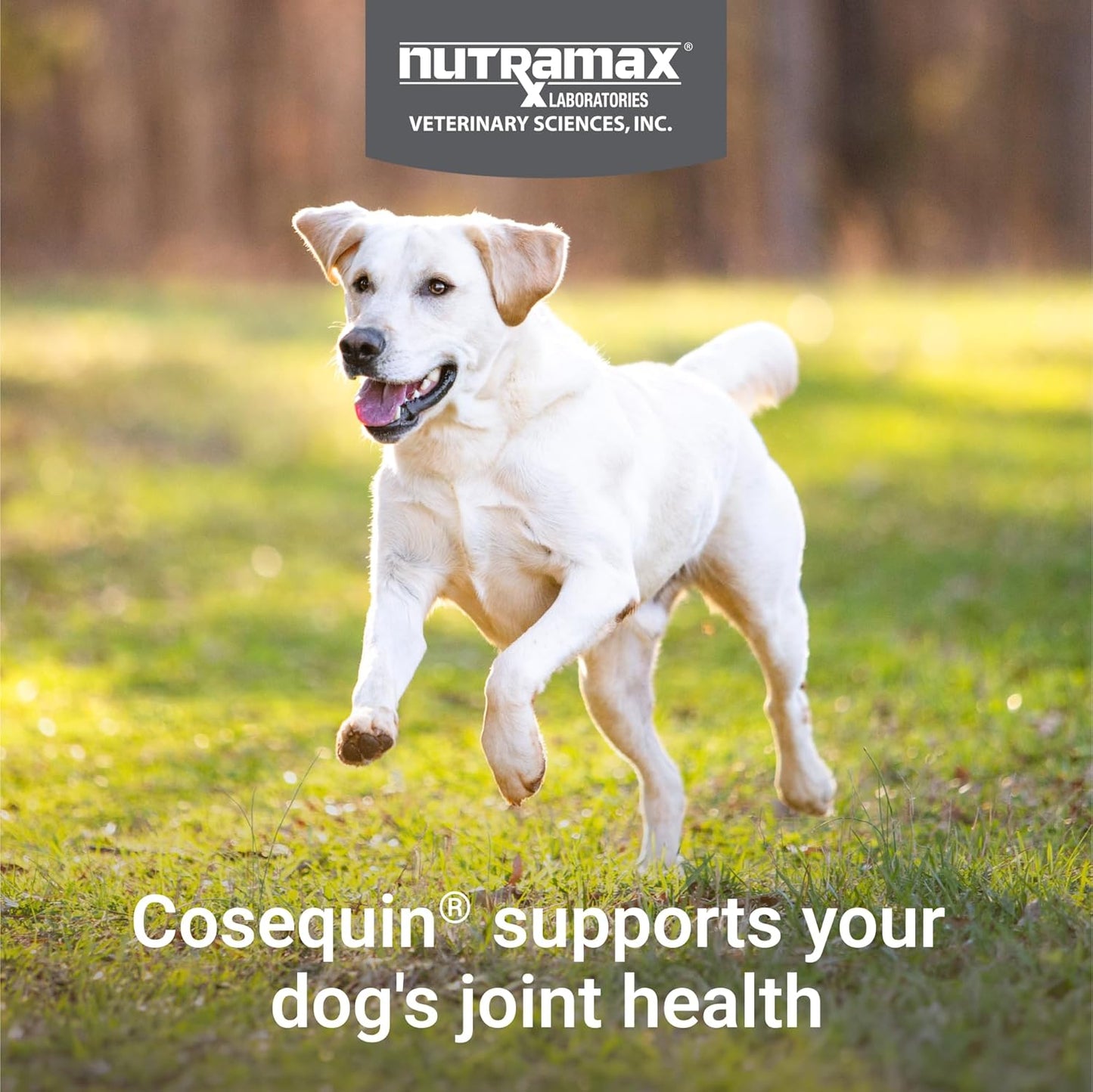 Cosequin for Dogs Joint Health Supplement, Contains Glucosamine for Dogs, plus Chondroitin and MSM, Supports Healthy Joints, Chewable Tablets, 132 Count