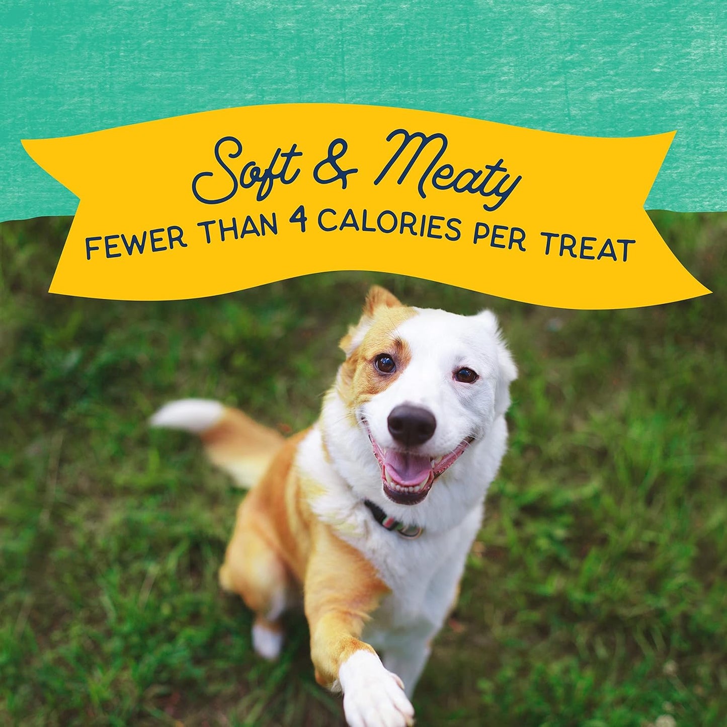 Limited Ingredient Mini-Rewards Chicken Grain-Free, Training Treats for Dogs | 5.3-Oz. Canister