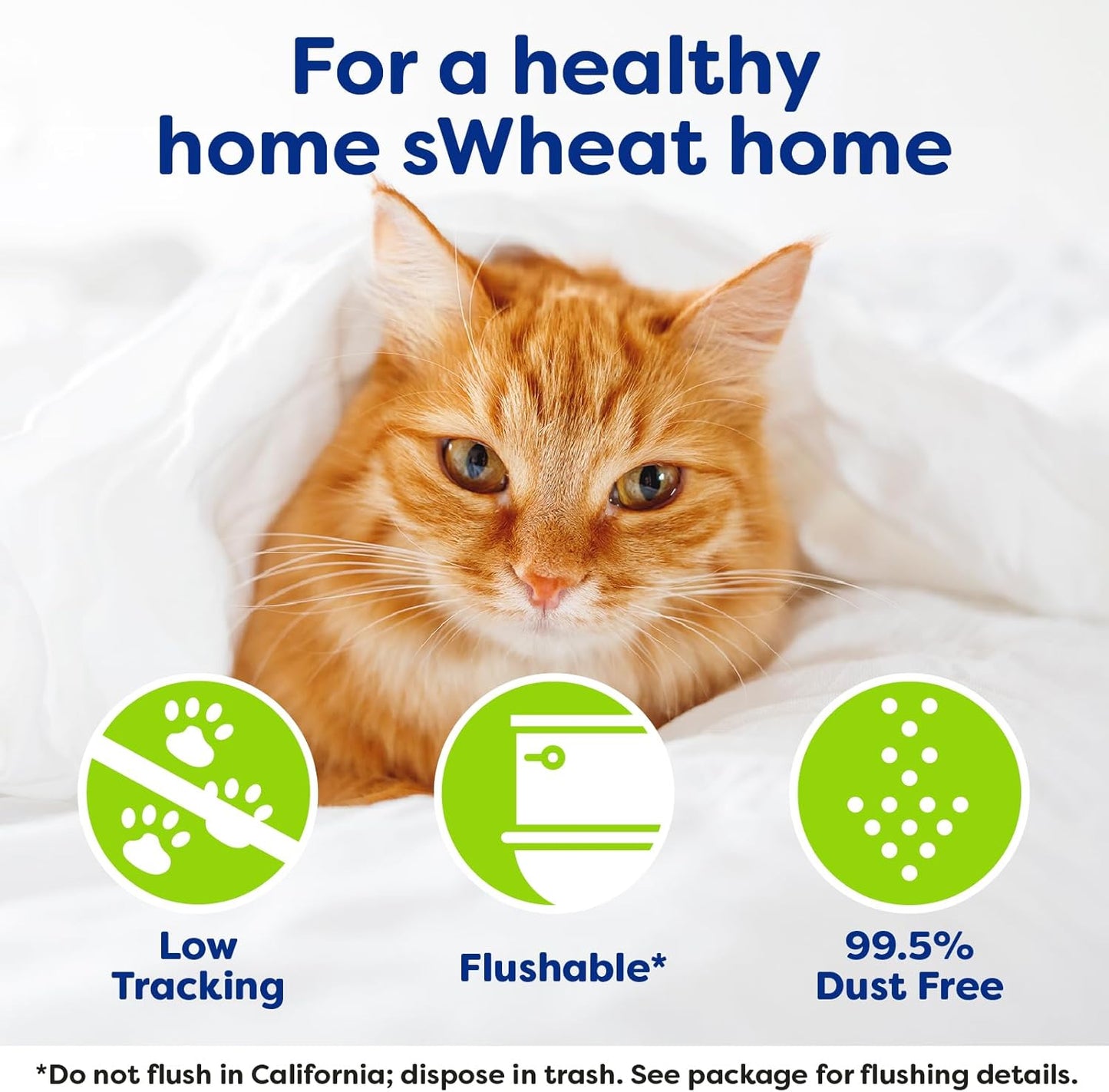 Natural Wheat Multi-Cat Litter, Superior Clumping with Odor Neutralizing Enzymes, 25 Pound Bag